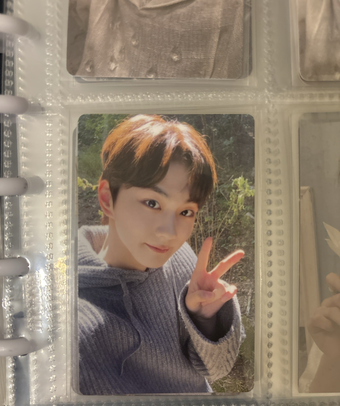 出道專 wvs特典卡