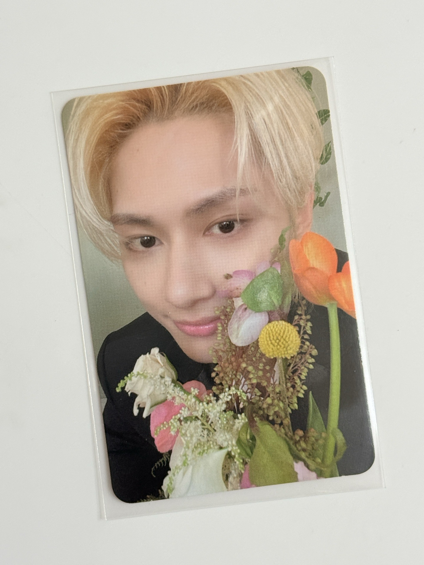 迷你10 克拉盤隨機卡 俊