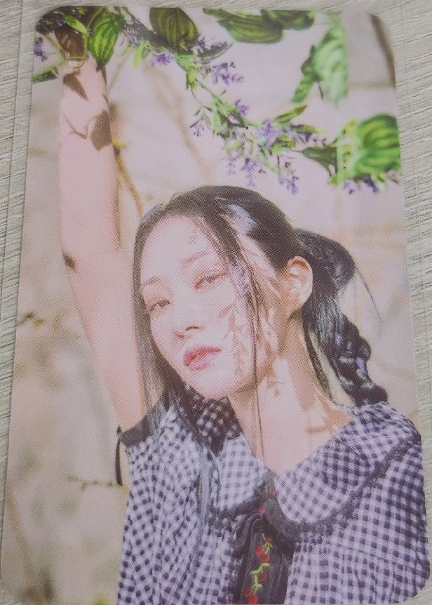 Dreamcatcher-迷八Poca固卡 Sua