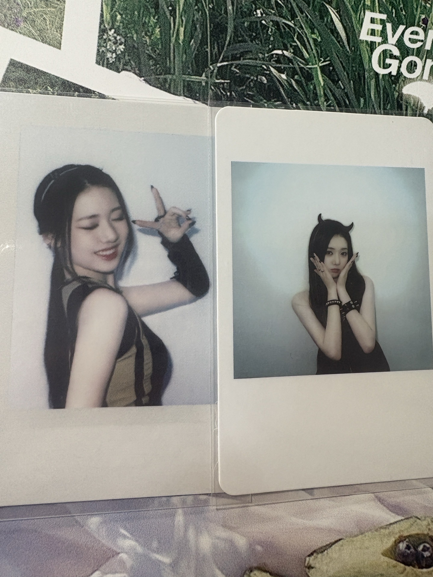 Rora wvs線下滿額/tme拍立得