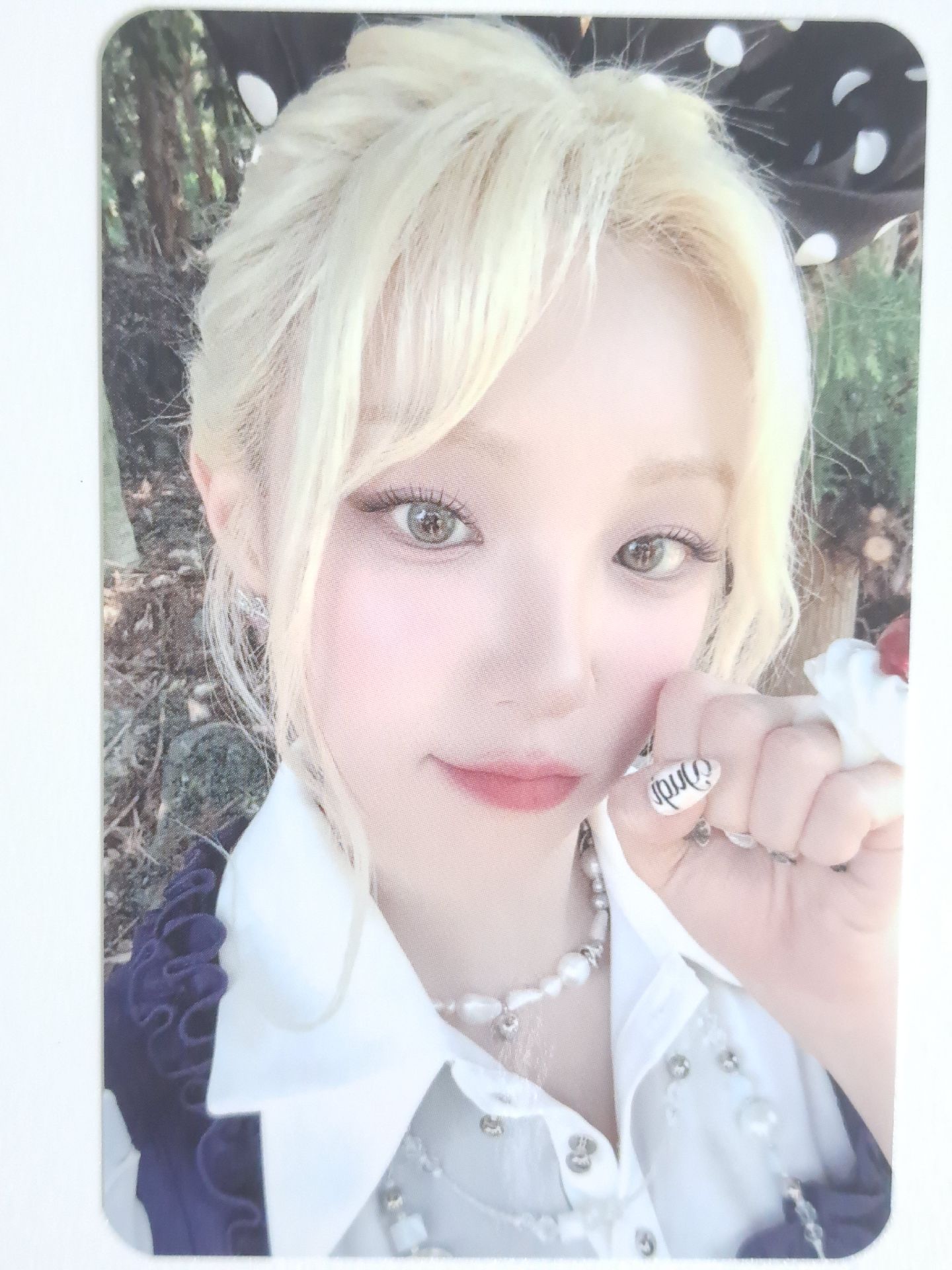 Motivation ms 預售琦