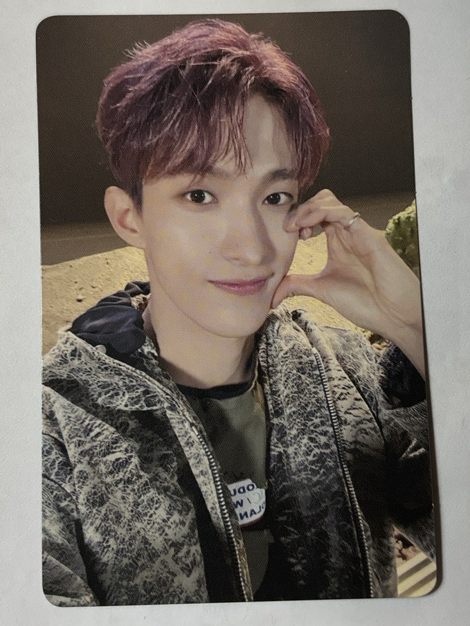 碩always yours 日專卡 d.ver