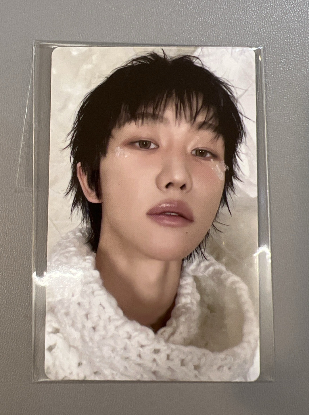 八 正五 wvs特典卡