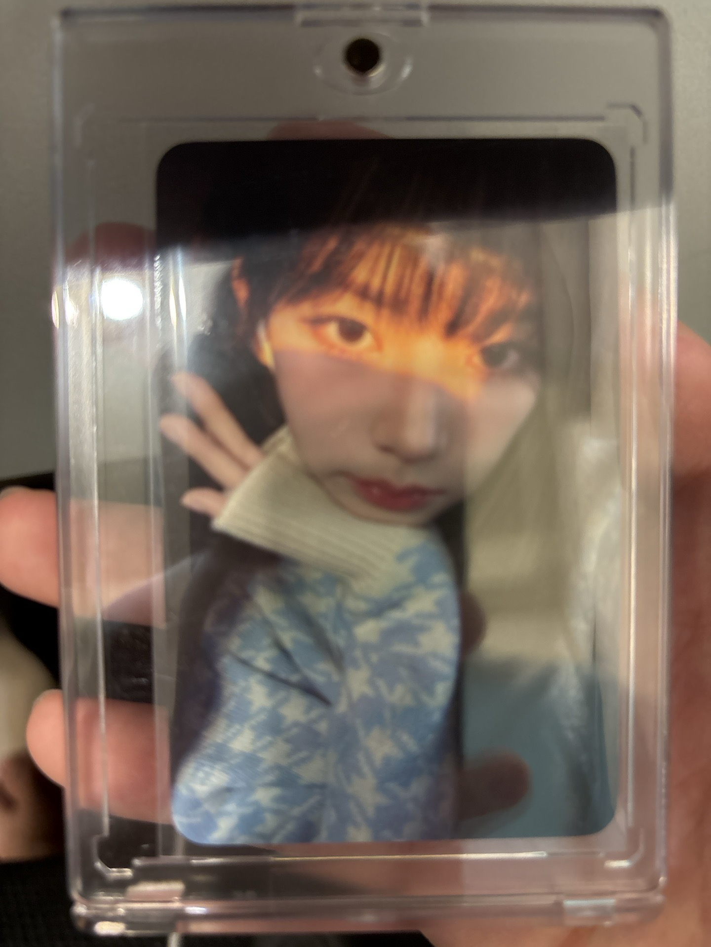 陽光柚