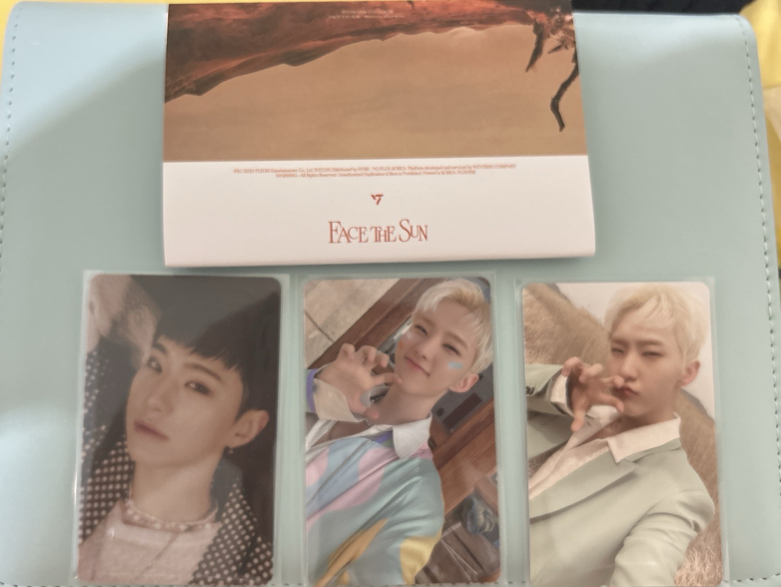 FACE THE SUN 榮 WVS專