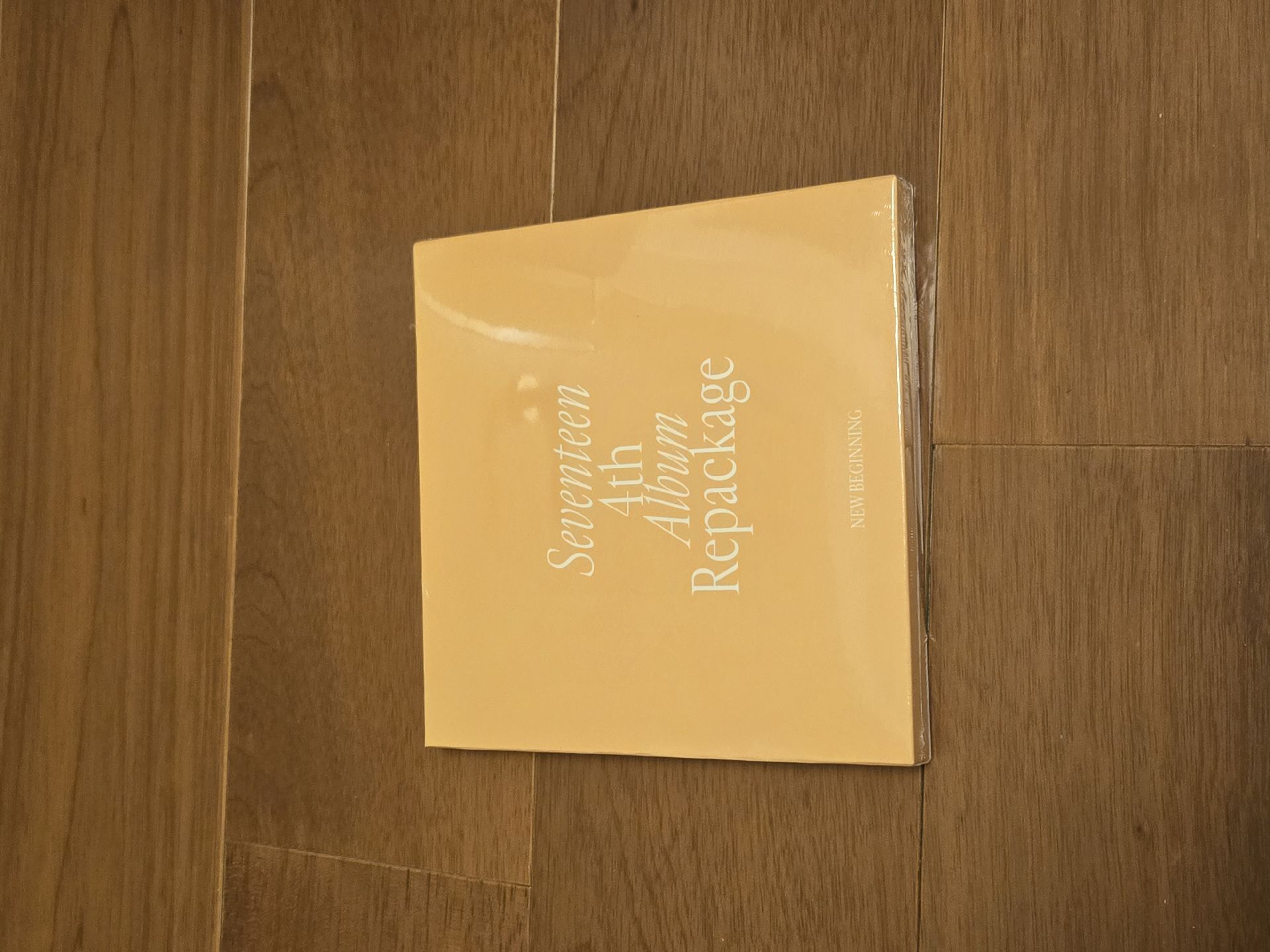 正規四後續：SECTOR 17 NEW BEGINNING ver.