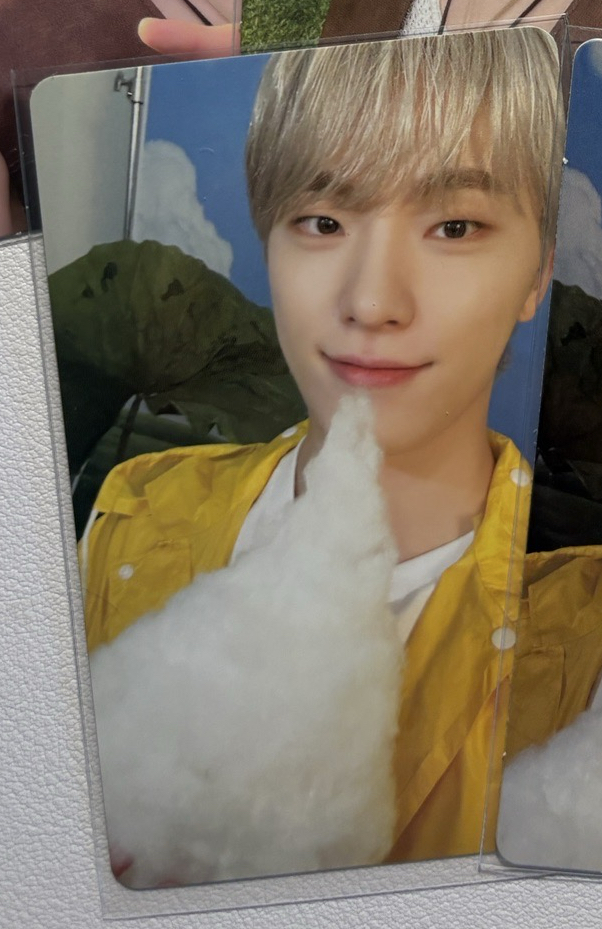 燦 克拉盤隨機卡