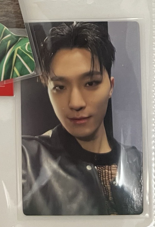 Dino m2u精選專特典