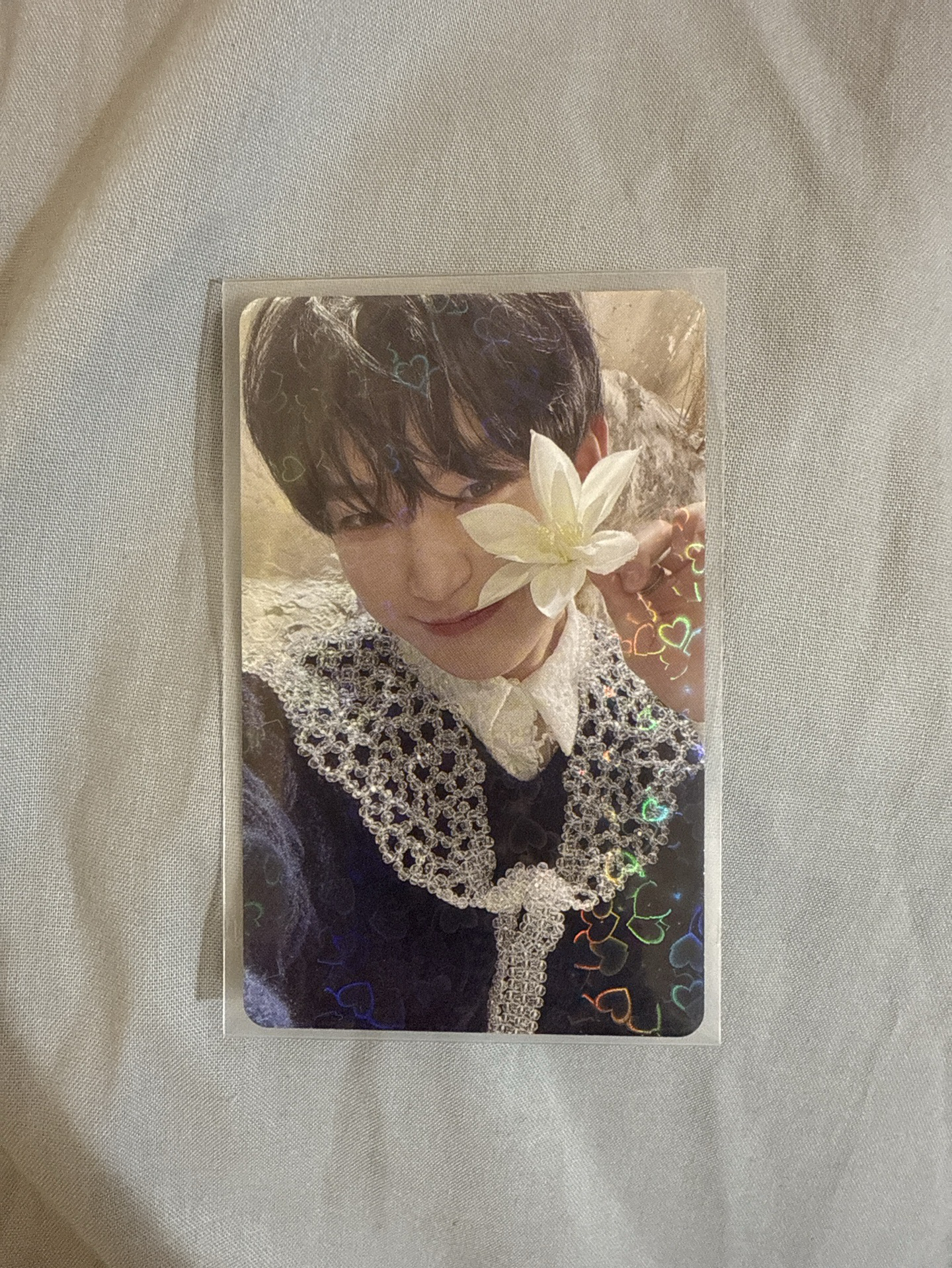 sunoo迷五日咖特典