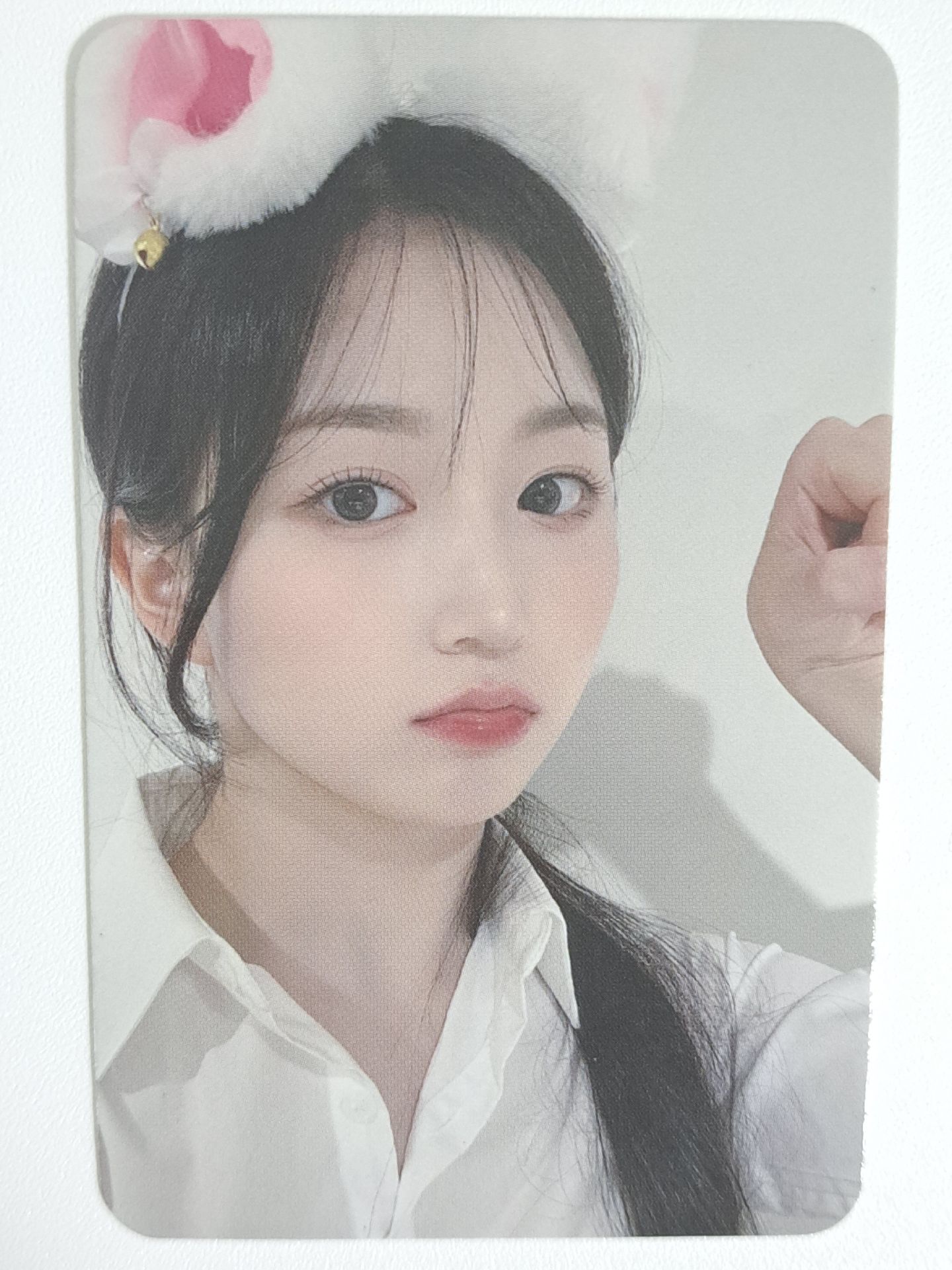 expérgo mp 幸運卡 白貓嫄