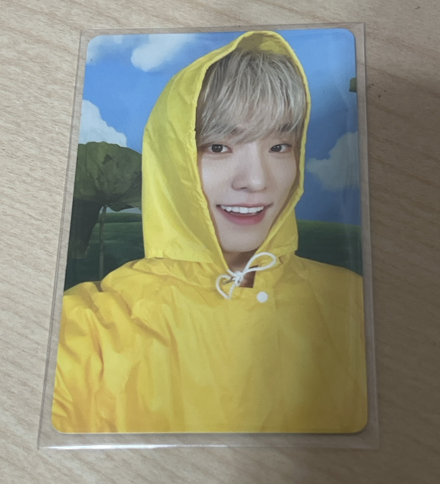 MINI11 專輯卡 ｜CARAT ver.