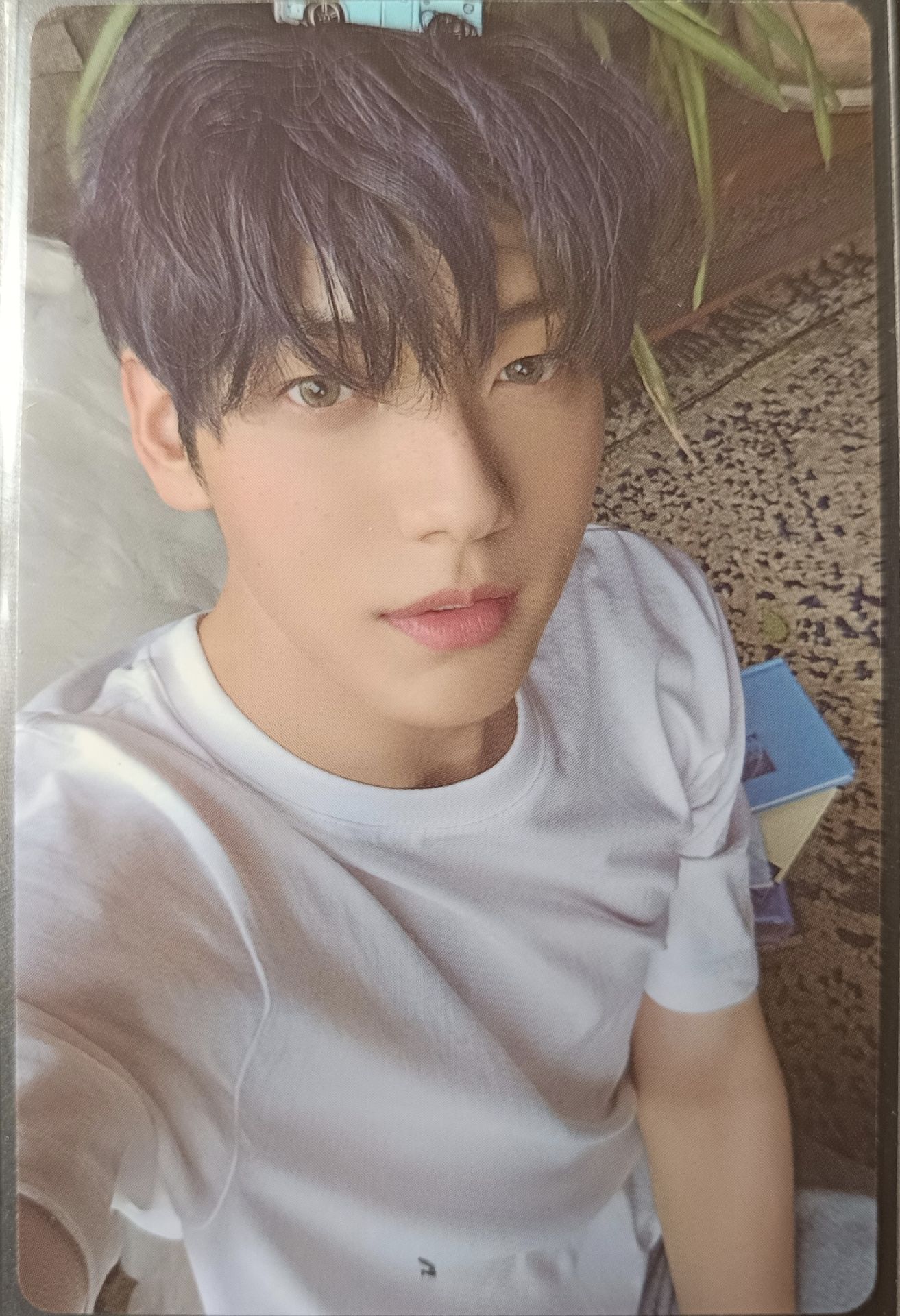 迷七 專卡 Merch版 彬