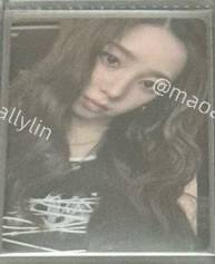 dmm 特典柚（微損）