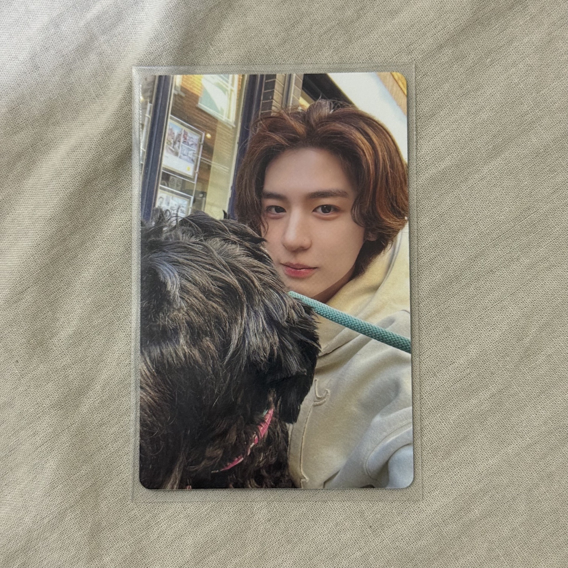 HOW?  Sticker ver. 專卡5