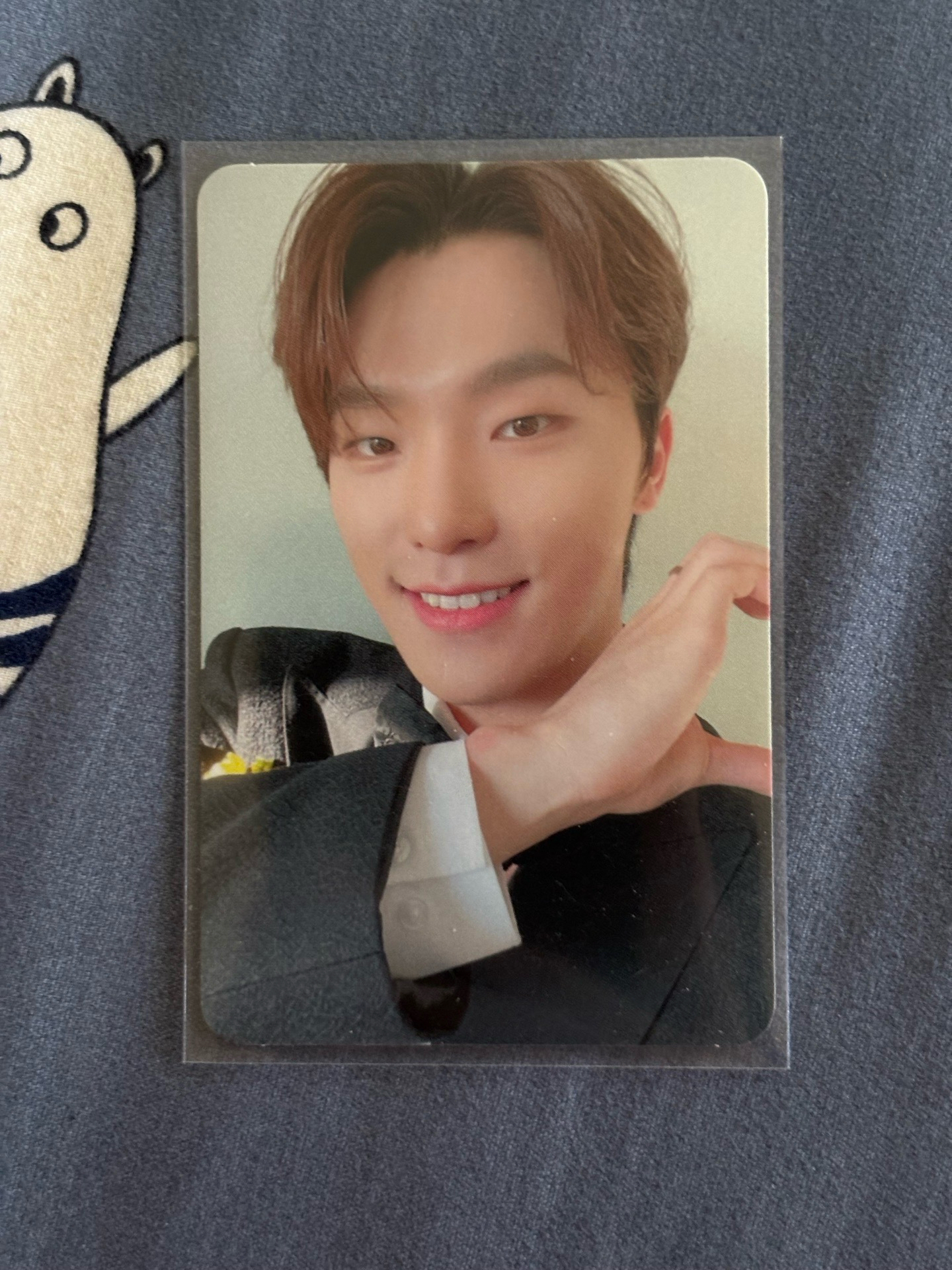 Dino｜Mini10克拉盤隨機卡