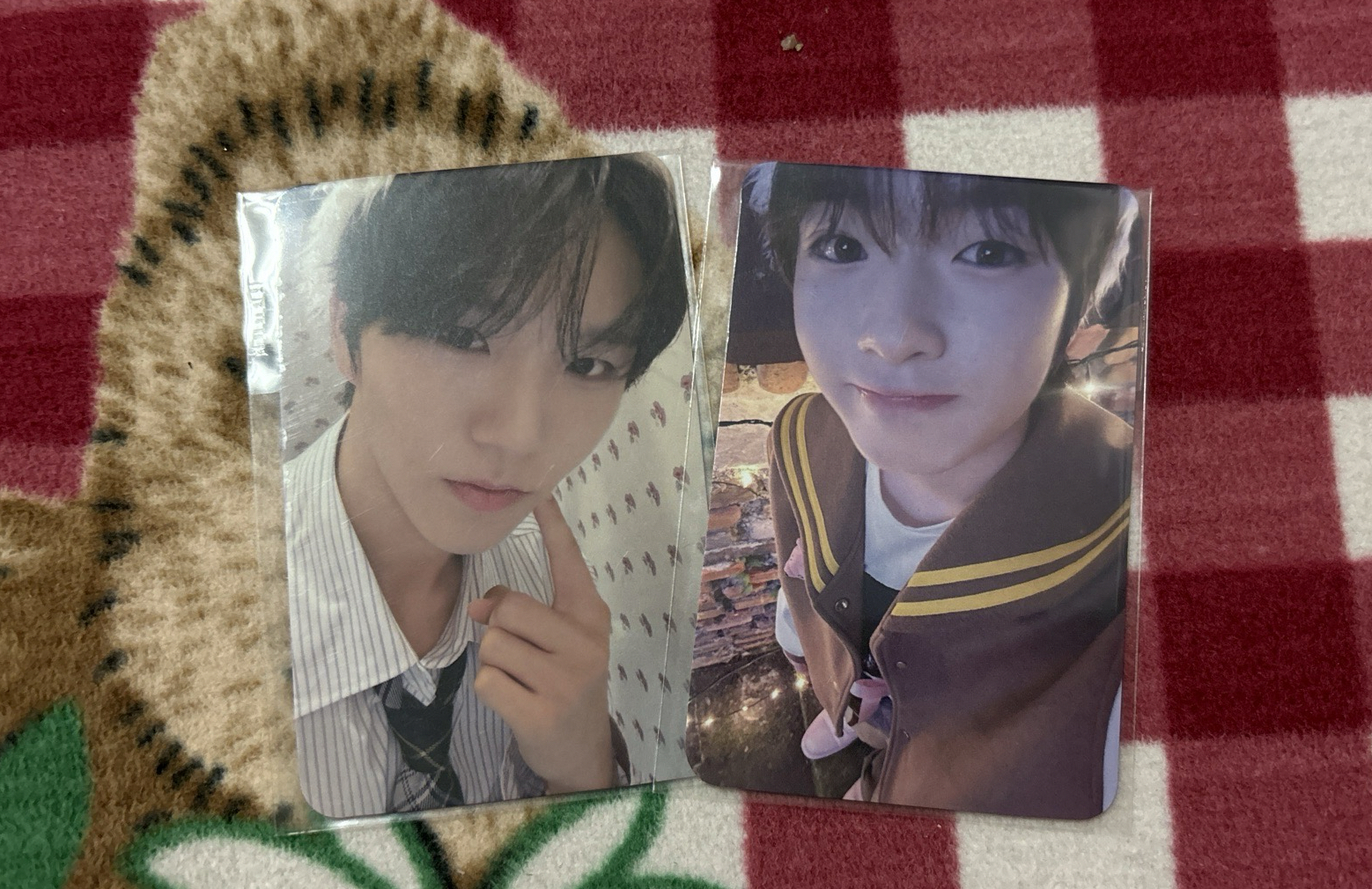 WISHFUL MUMO特典卡