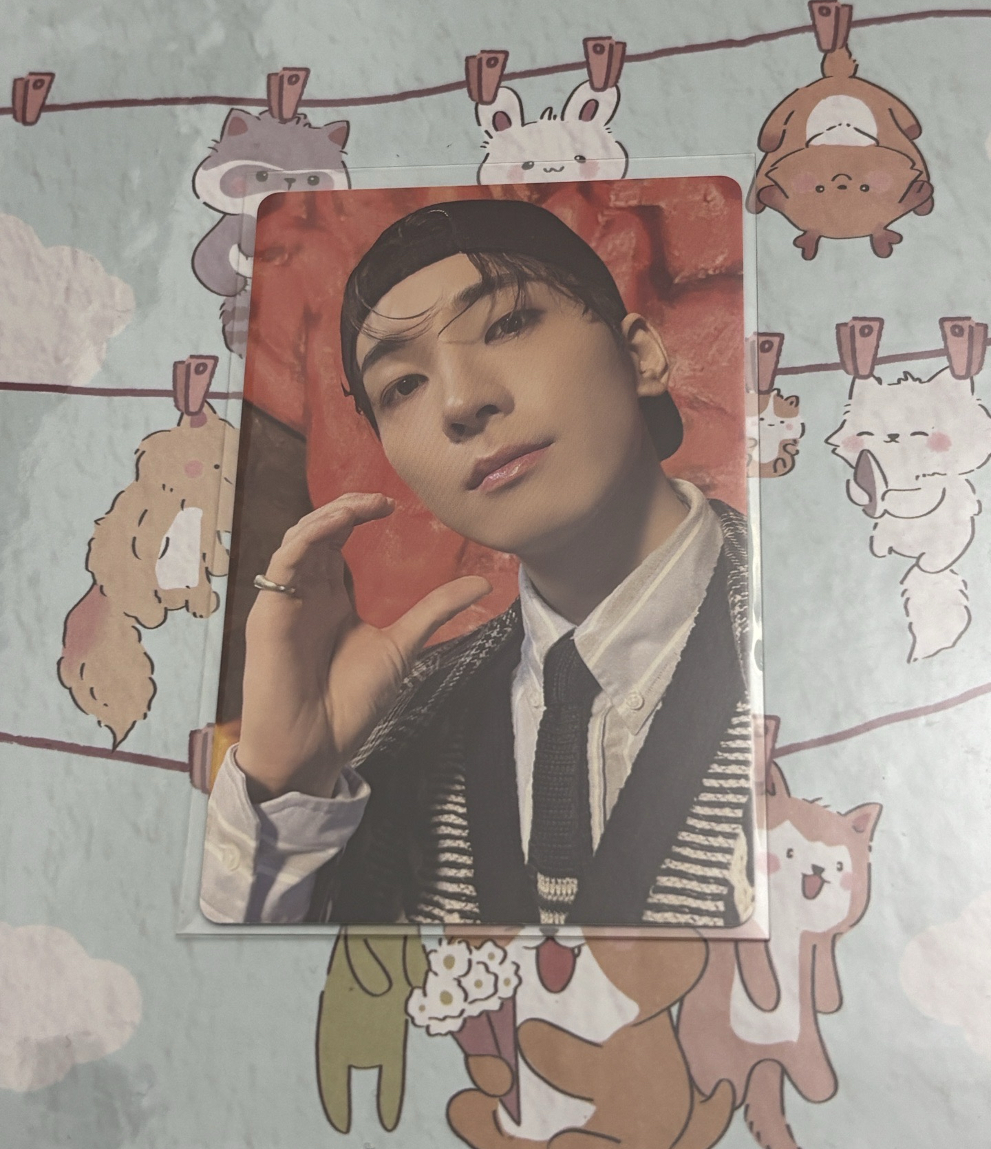 🤍精選專 專卡 固卡 Here ver. 圓