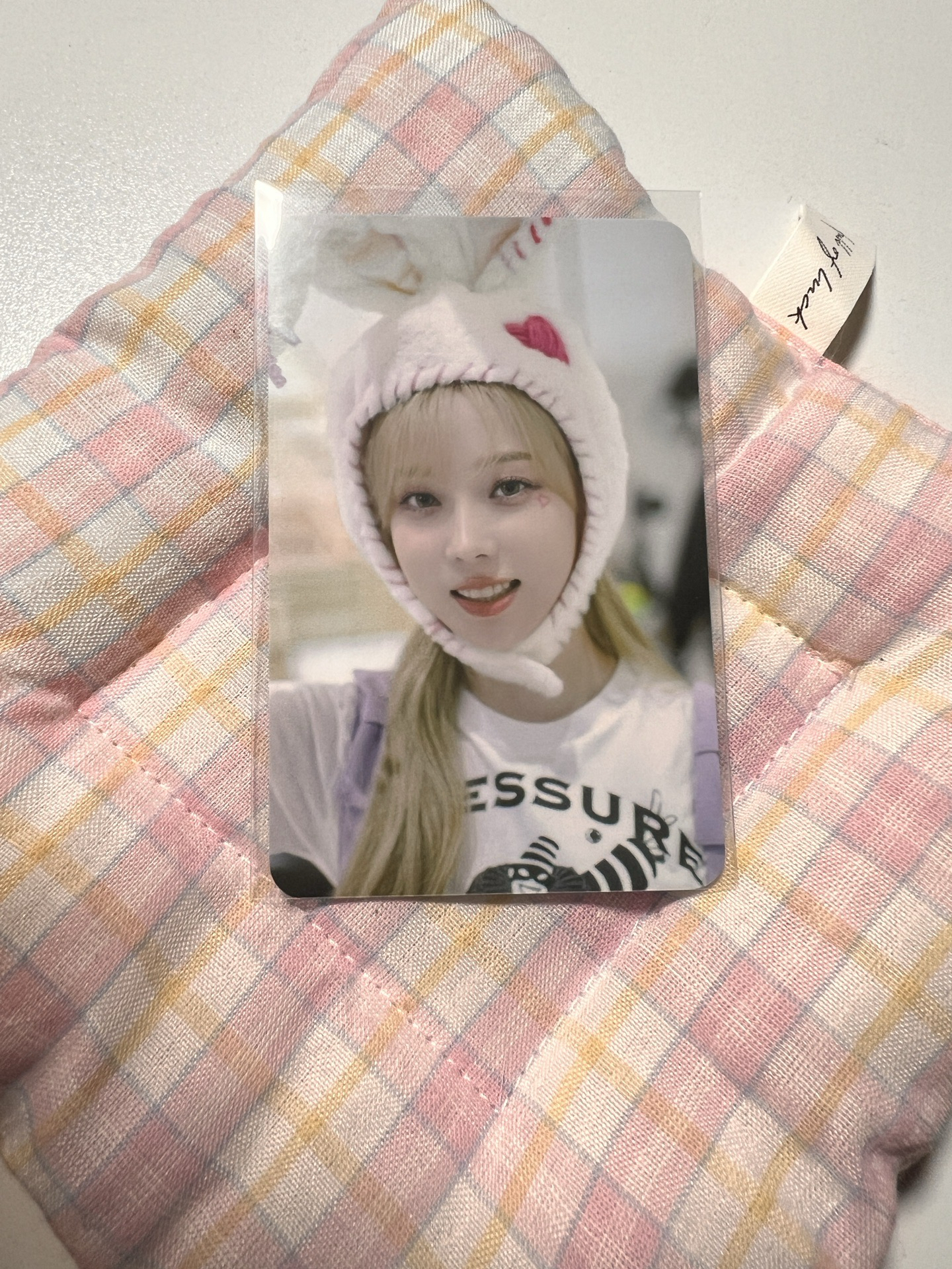 電影快閃 周邊卡冬 （兔子冬）