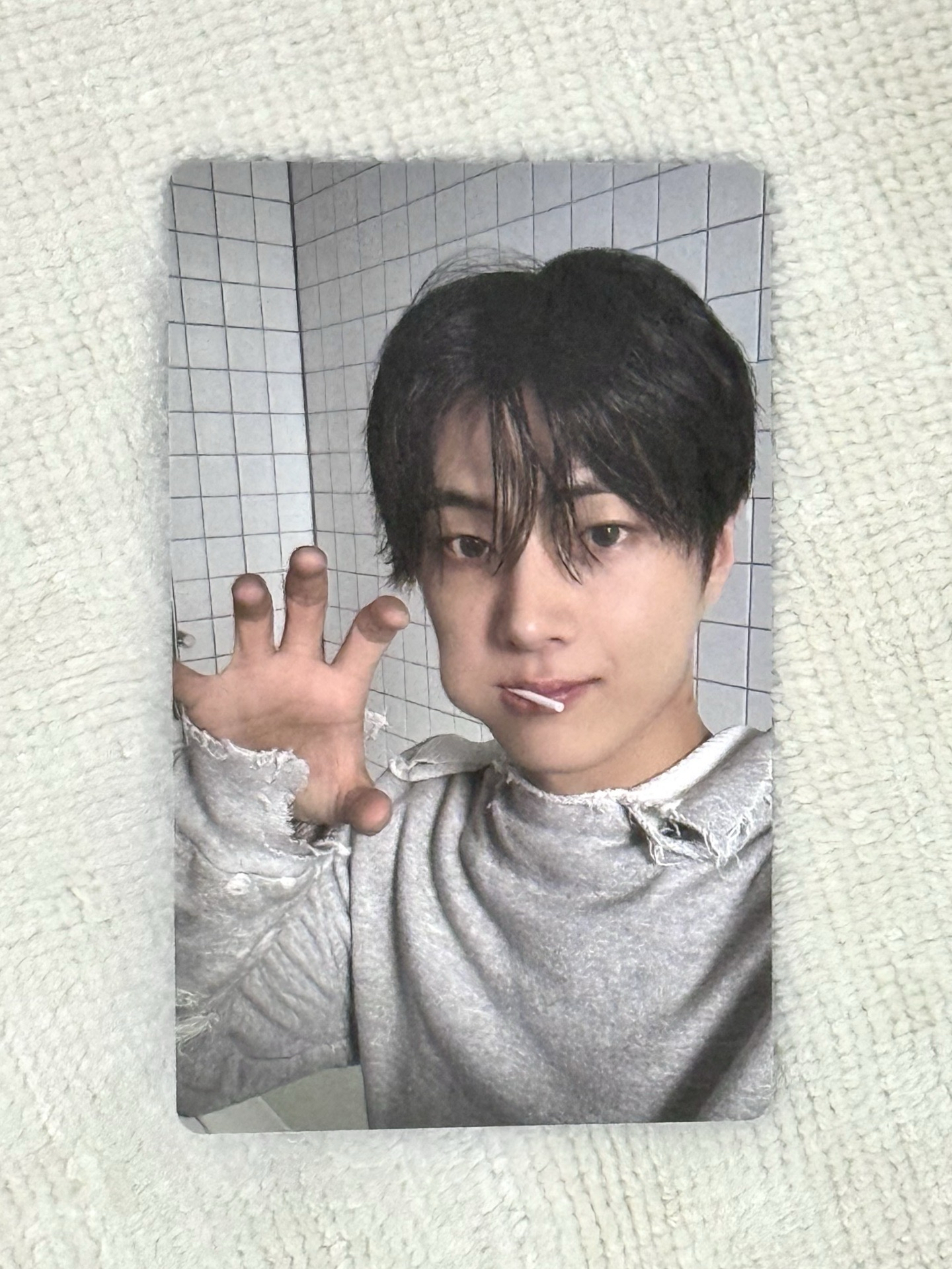 ENHYPEN朴綜星JAY賊｜正規二後續daydream kakaotalk特典卡kkt 貓爪賊 貓爪棒棒糖