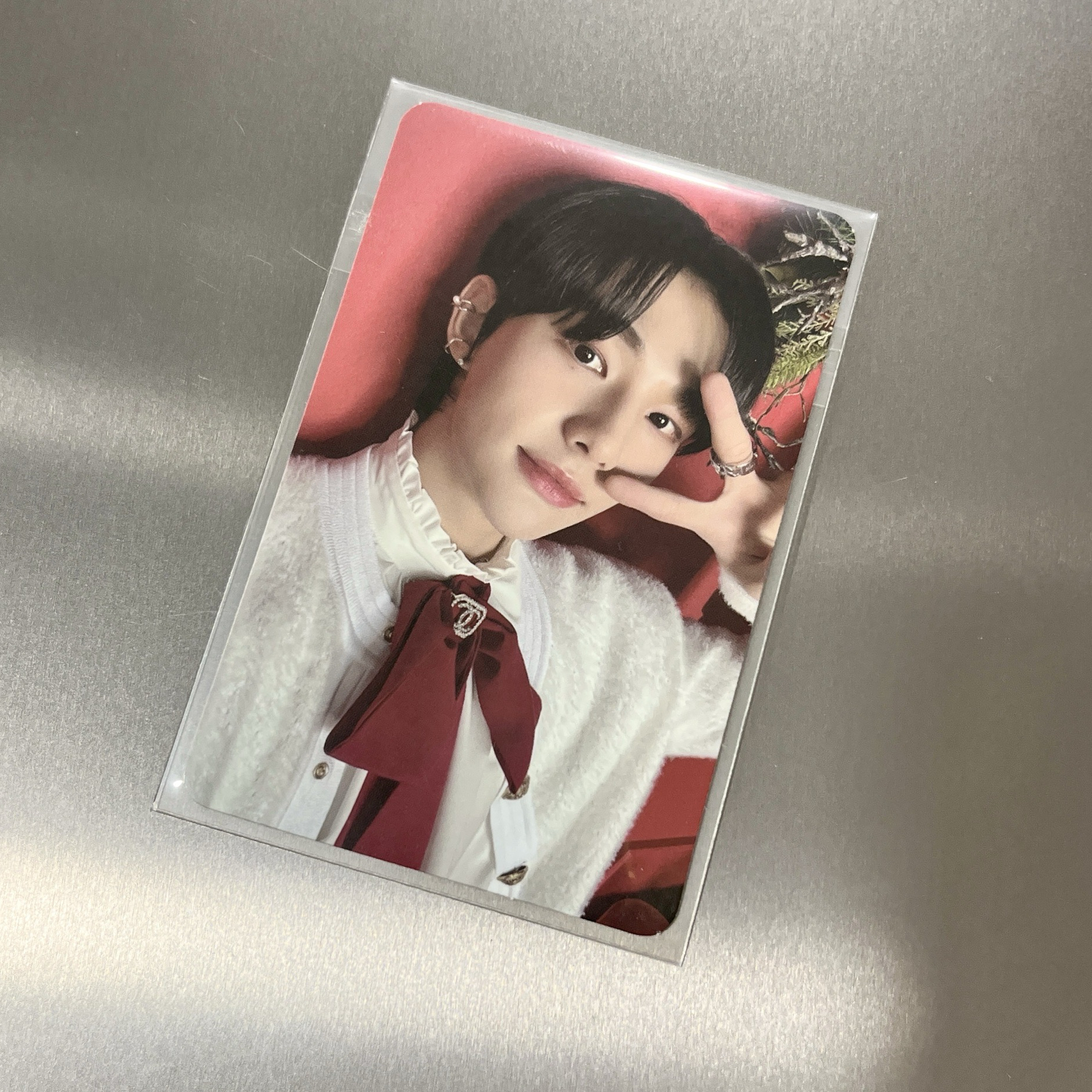 聖誕紅底辰