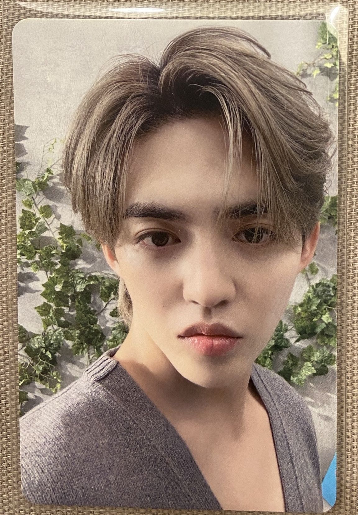 S.COUPS 消費期限 塔店 特典卡