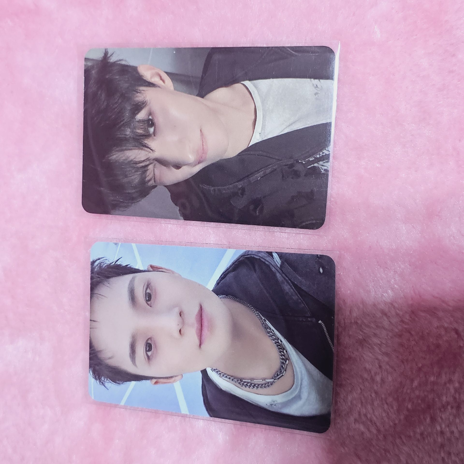 正五 oy 特典卡 正規五｜特典