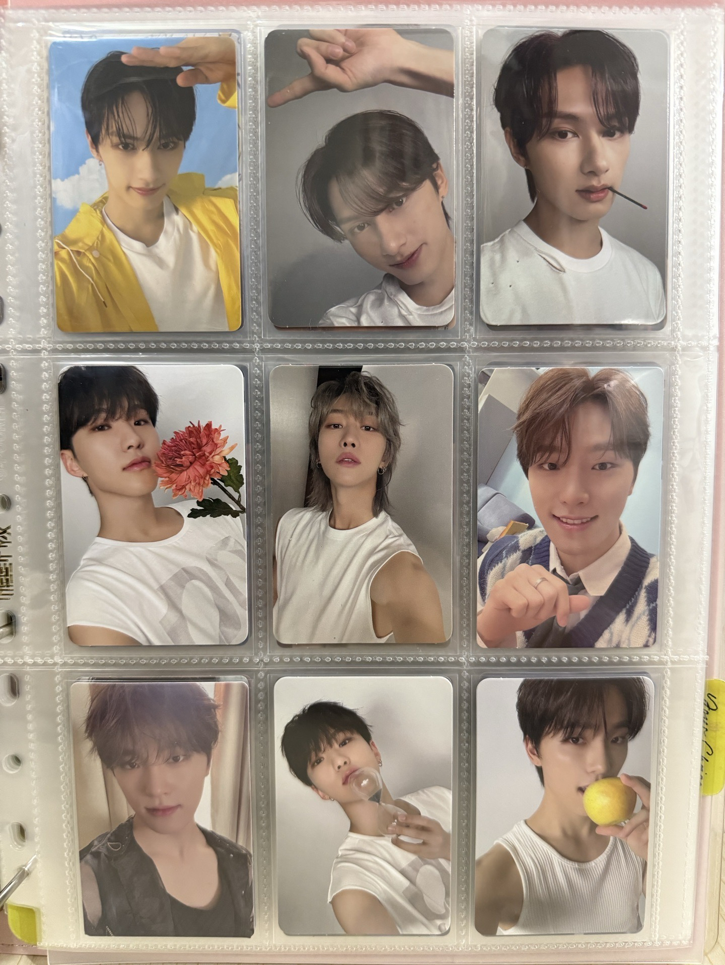 ⭐️一張不拆售