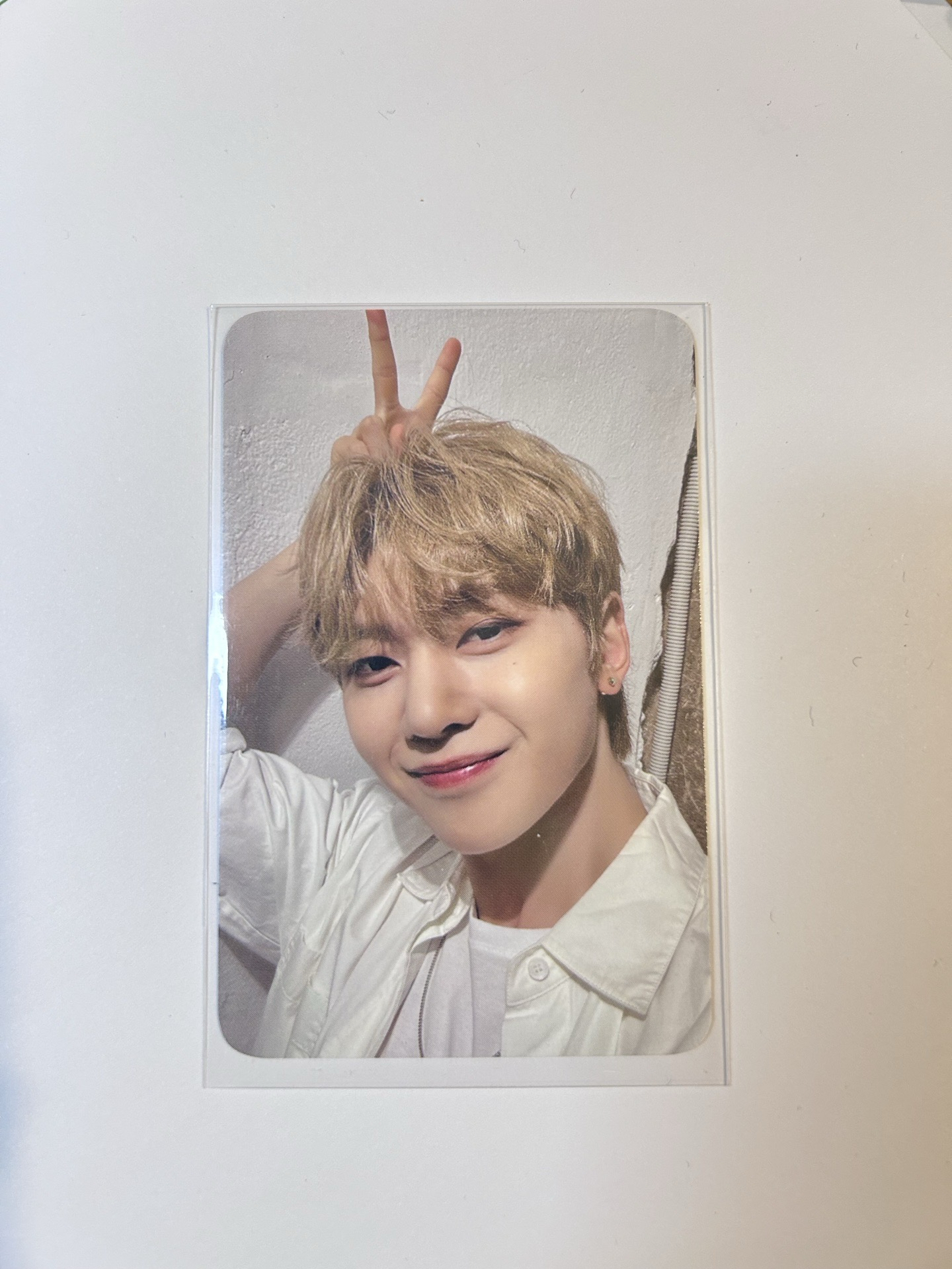 ZEROBASEONE 石馬修 迷一 k4 幸運卡 兔耳