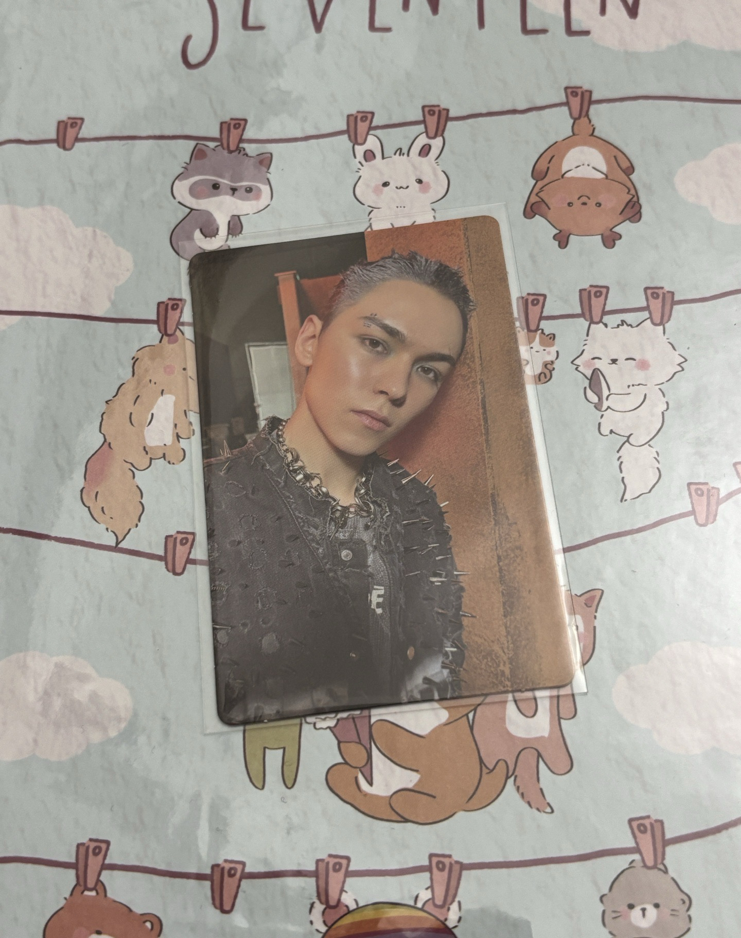 🤍正五 new burstday ver.專卡 率