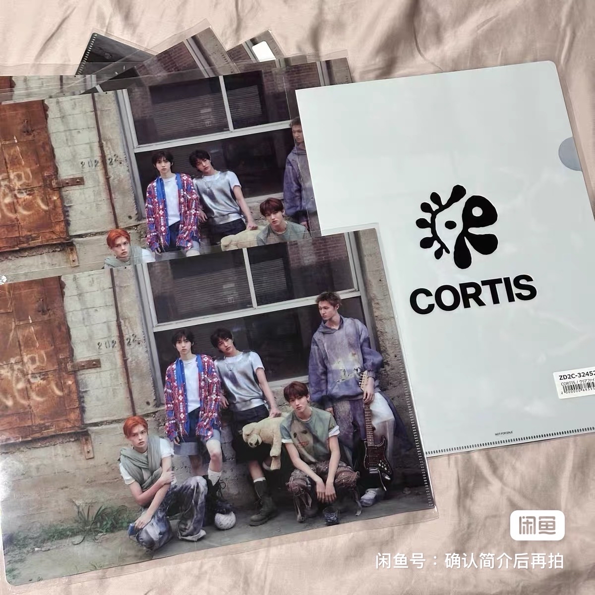 CORTIS 環球預售特典 團體a4資料夾 L夾