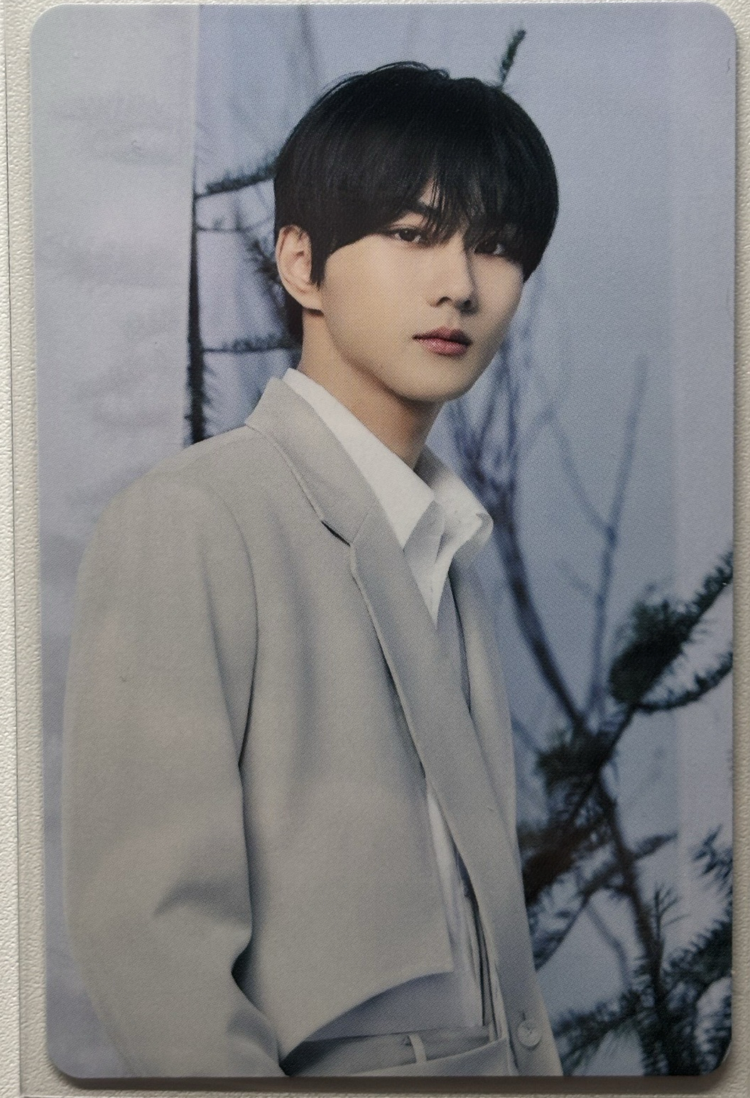 元 WTL日巡卡包隨機卡