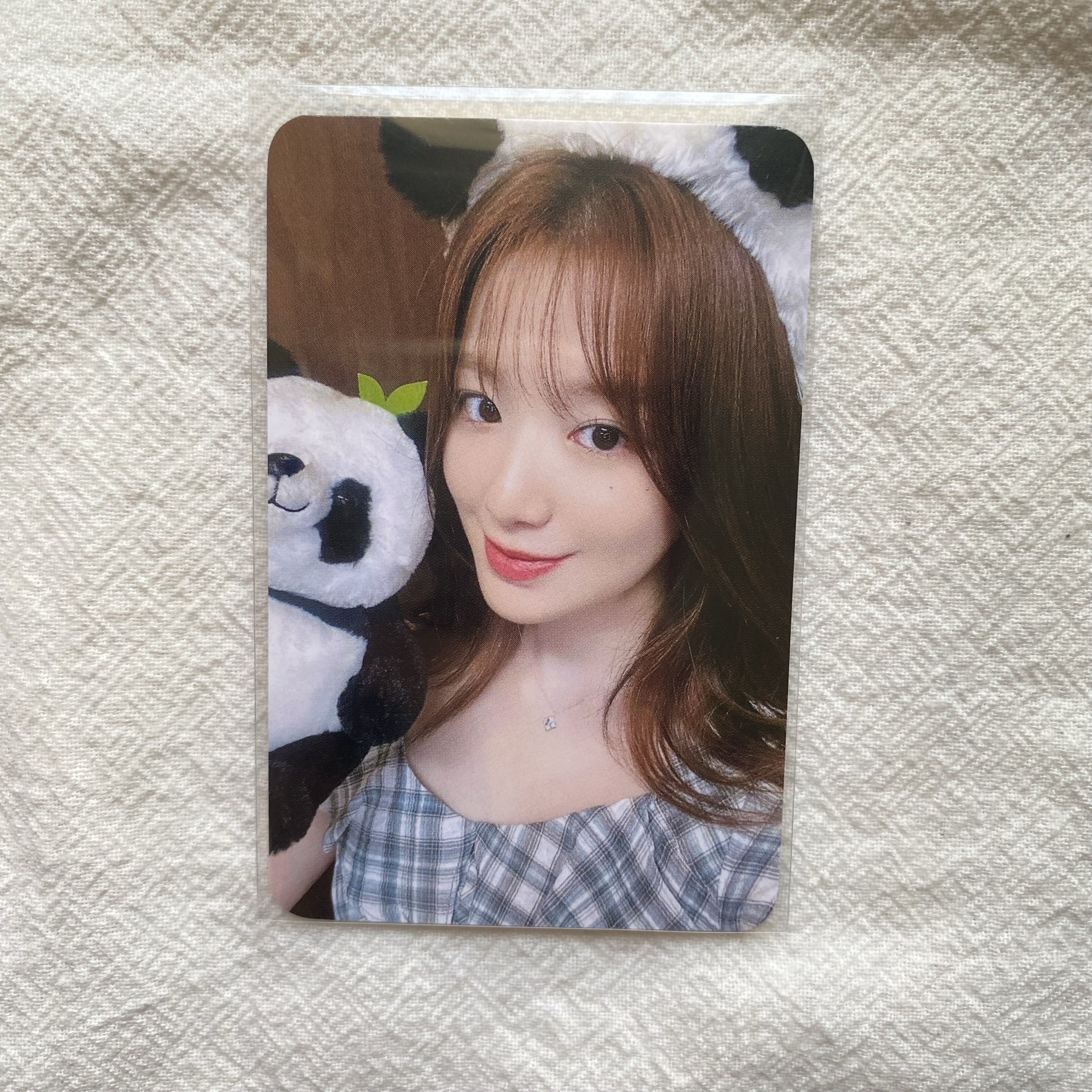 i-e Ms熊貓刷 超可愛😻