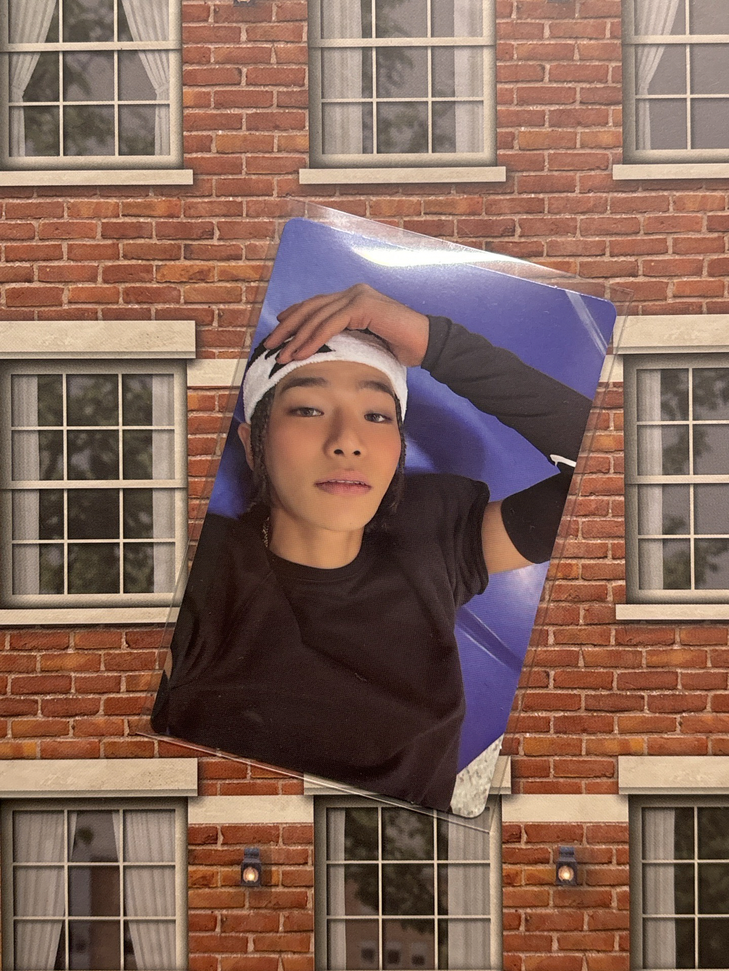 泰山卡通專卡（可掃電子專）