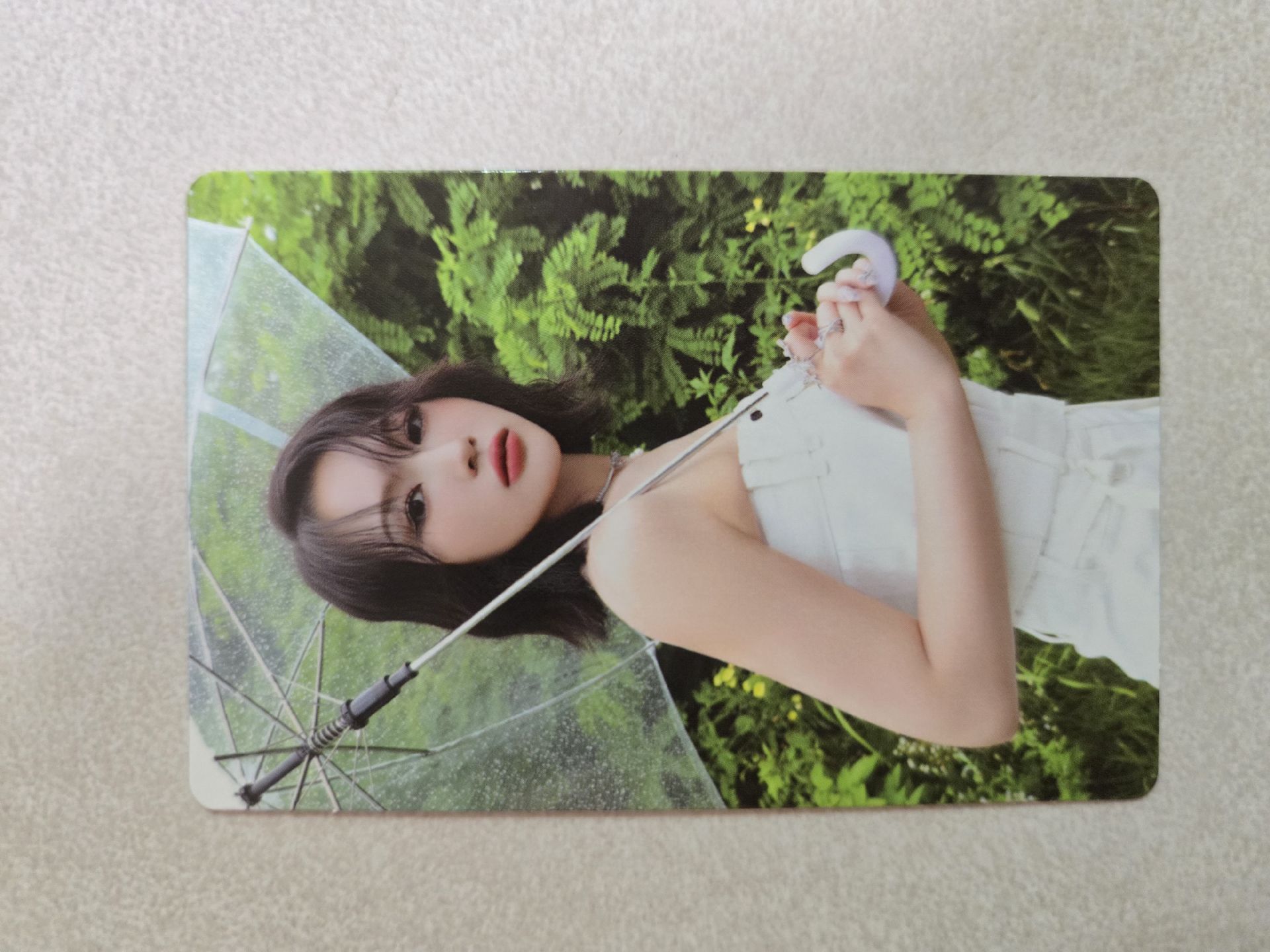 迷七 娟 普專專卡