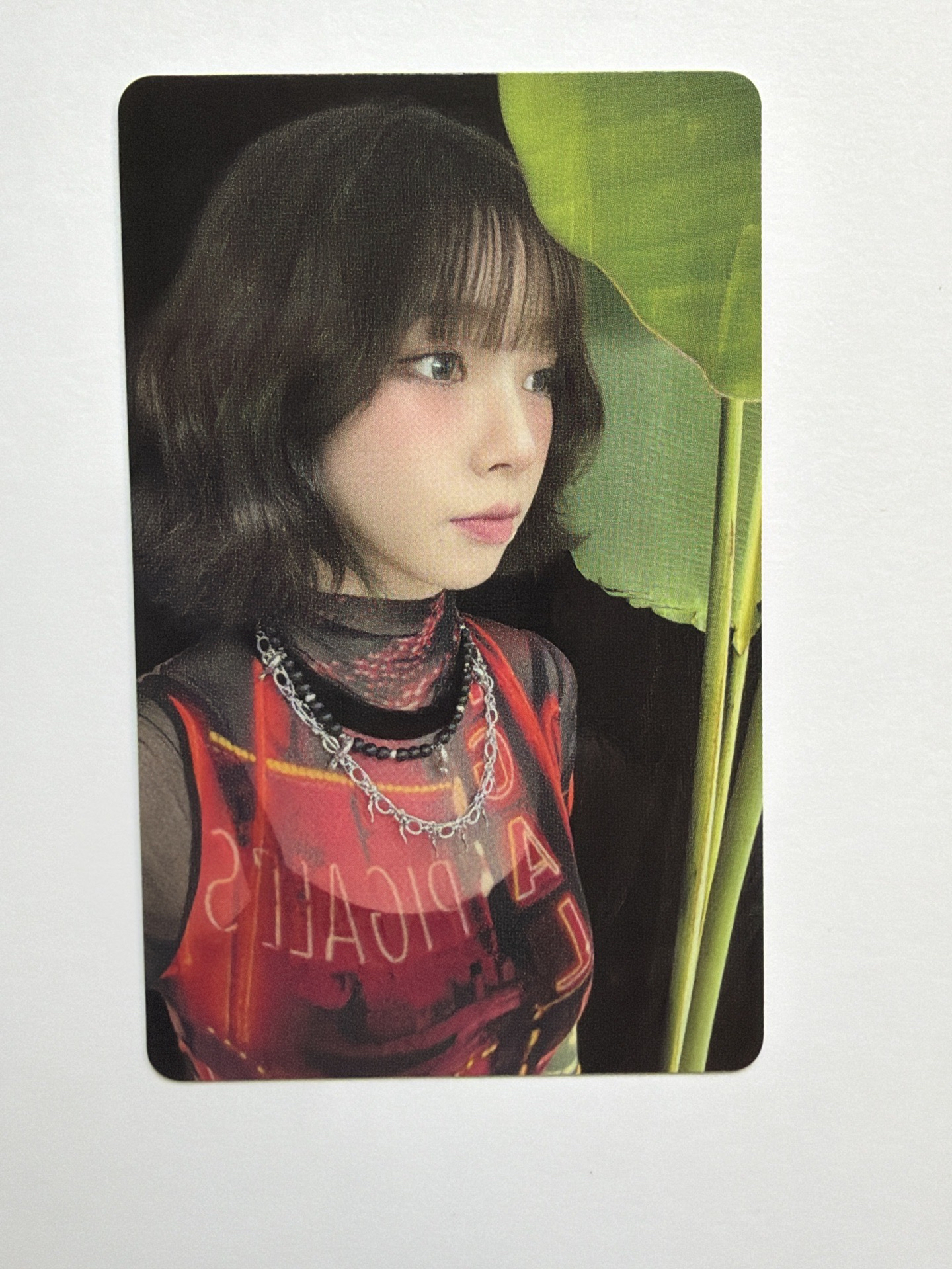 現貨當日出貨/Aespa 2025smt 隨機卡柚