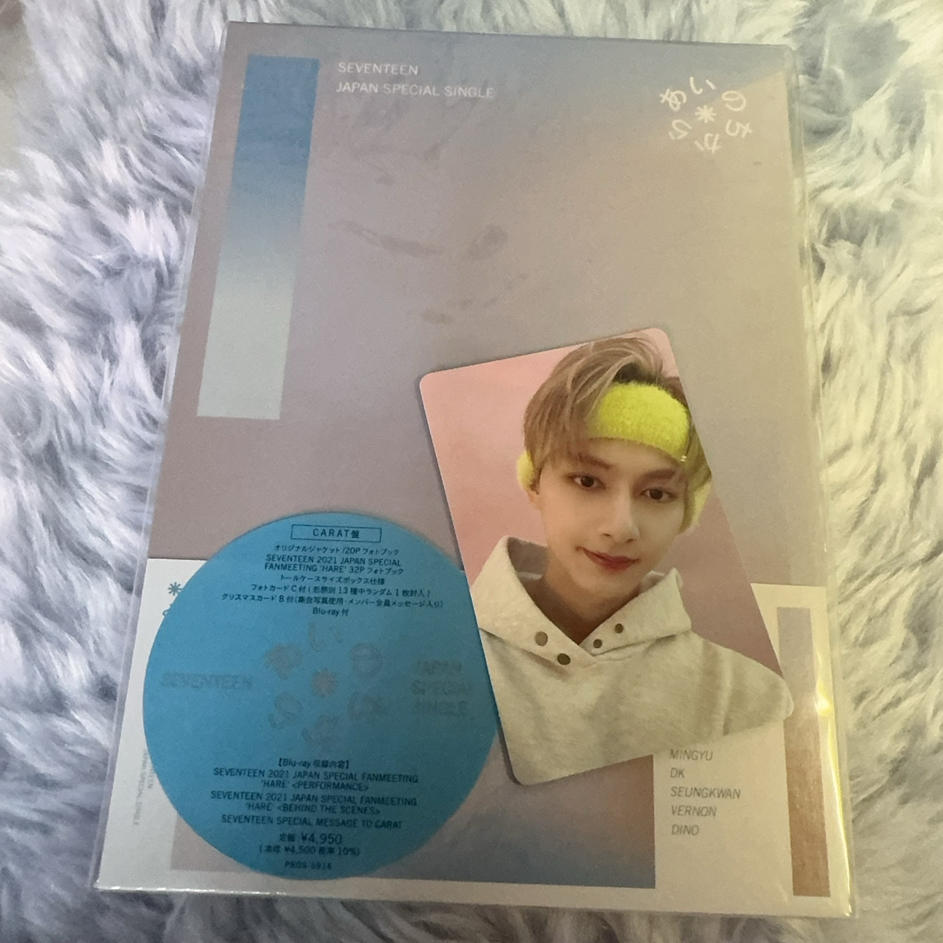 Seventeen Power of Love 克拉盤  Jun