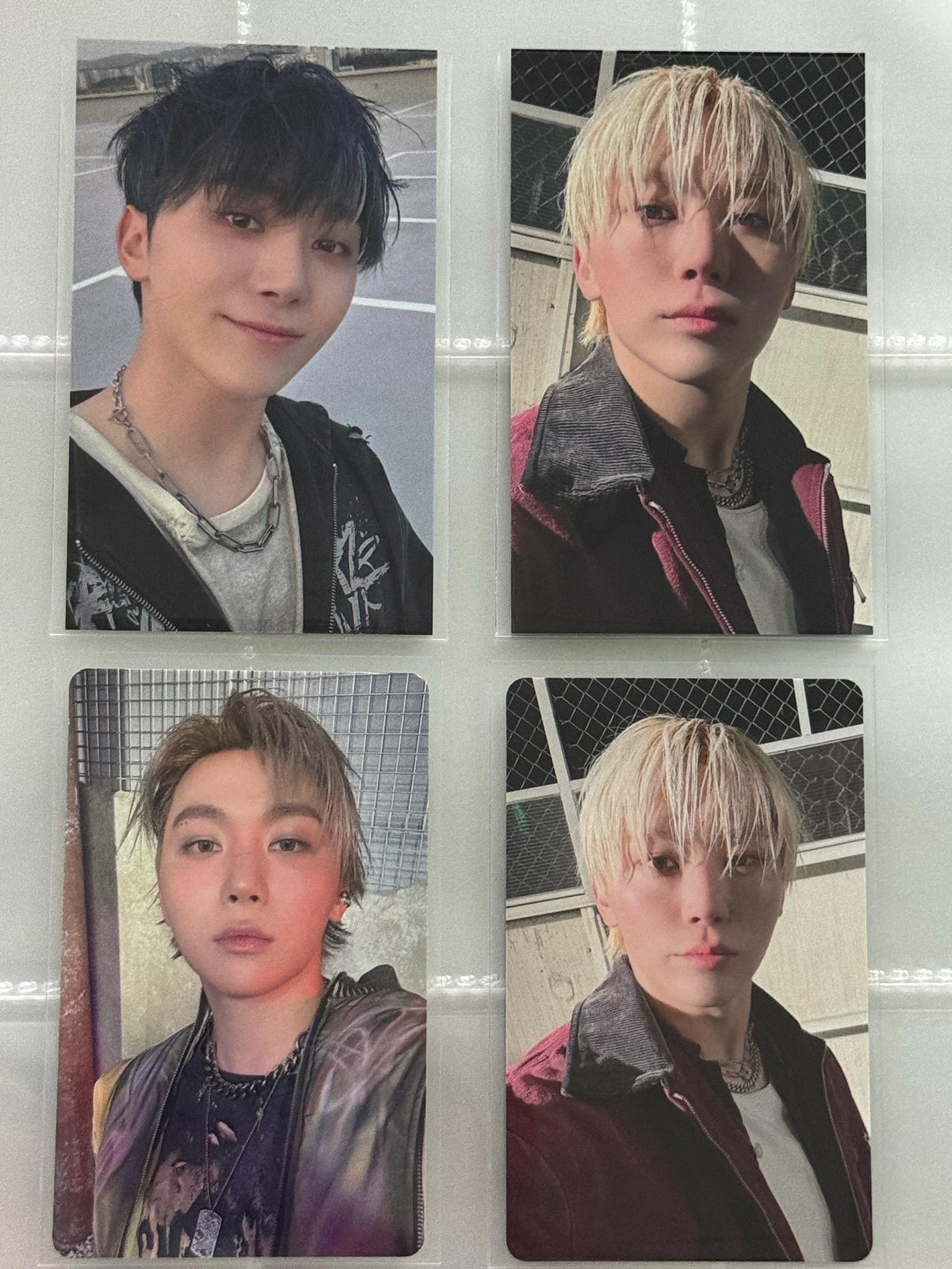 SVT 寛 正規五 場限