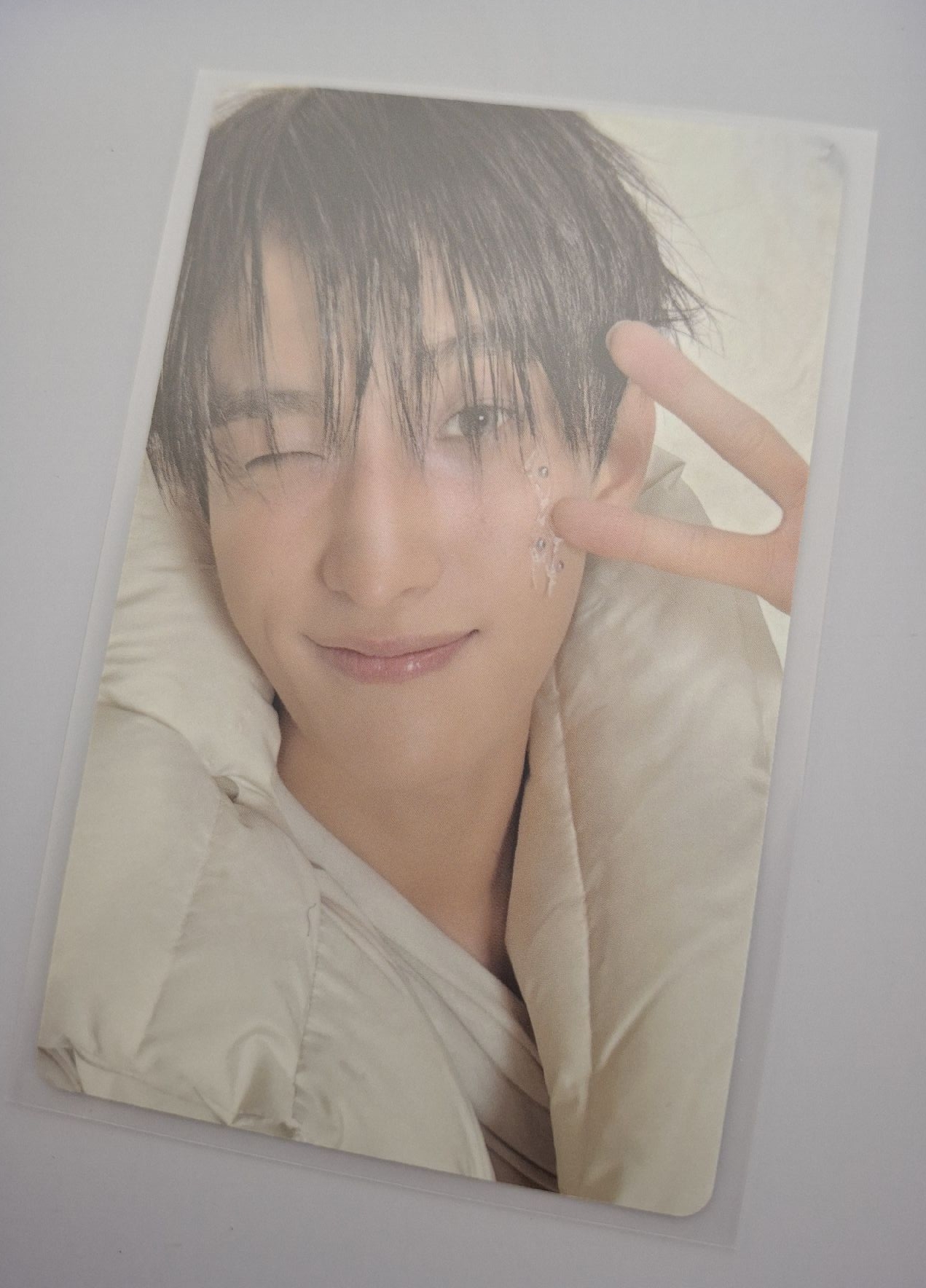 正五 wvs特典 碩