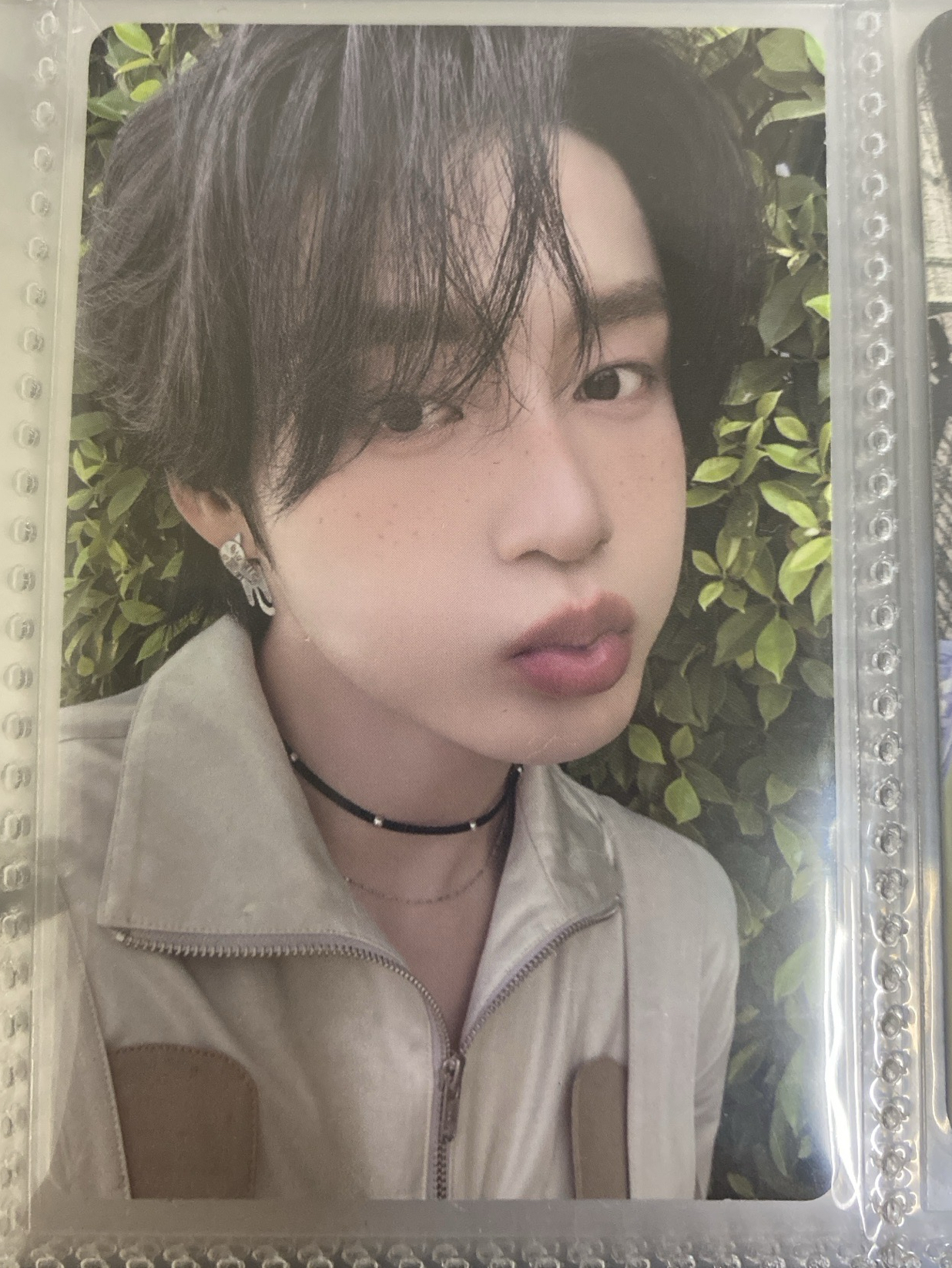 金地雄 迷五專卡 ZEROSE版