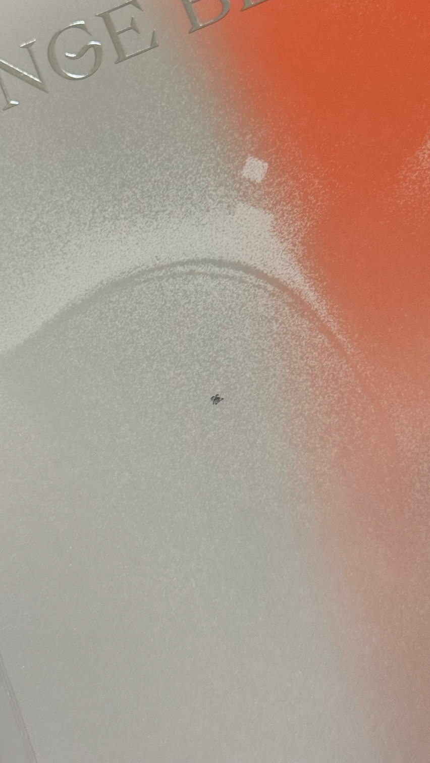 🍀Orange blood 羲承單封全專