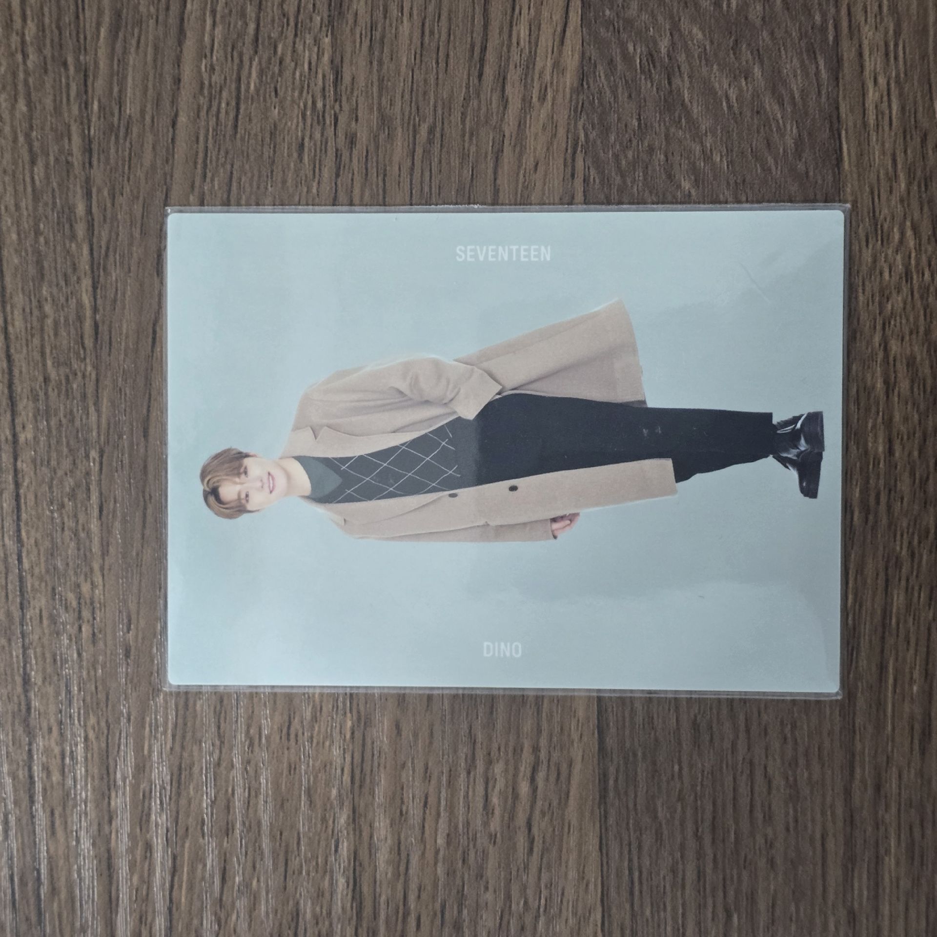 SEVENTEEN Dino 2020 WINTER 日本 卡包卡