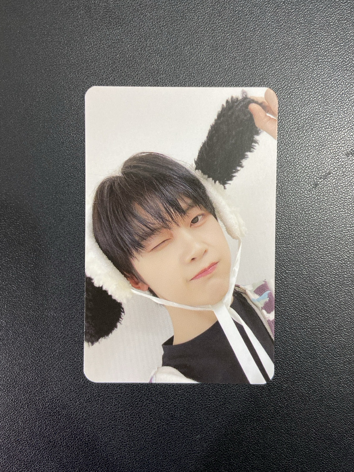 迷五｜ms小狗修