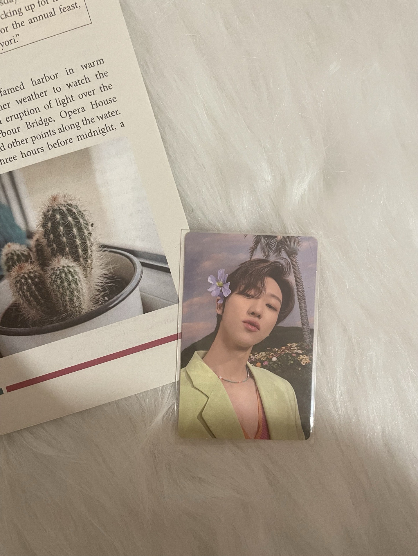 【SVT】正四後續專專卡