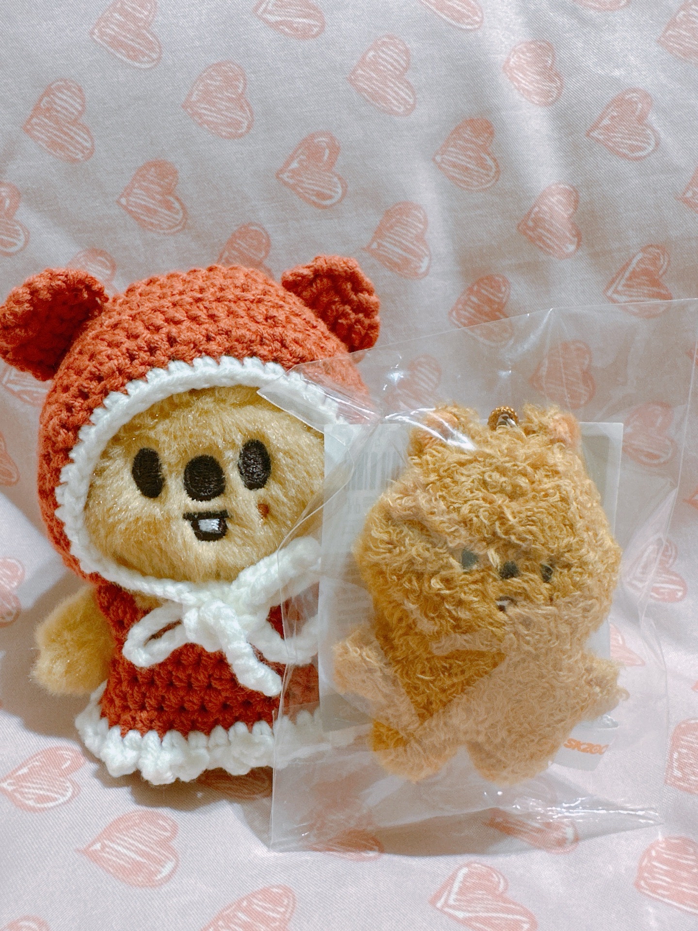 五期飯咪 闊卡潦草娃🐿️