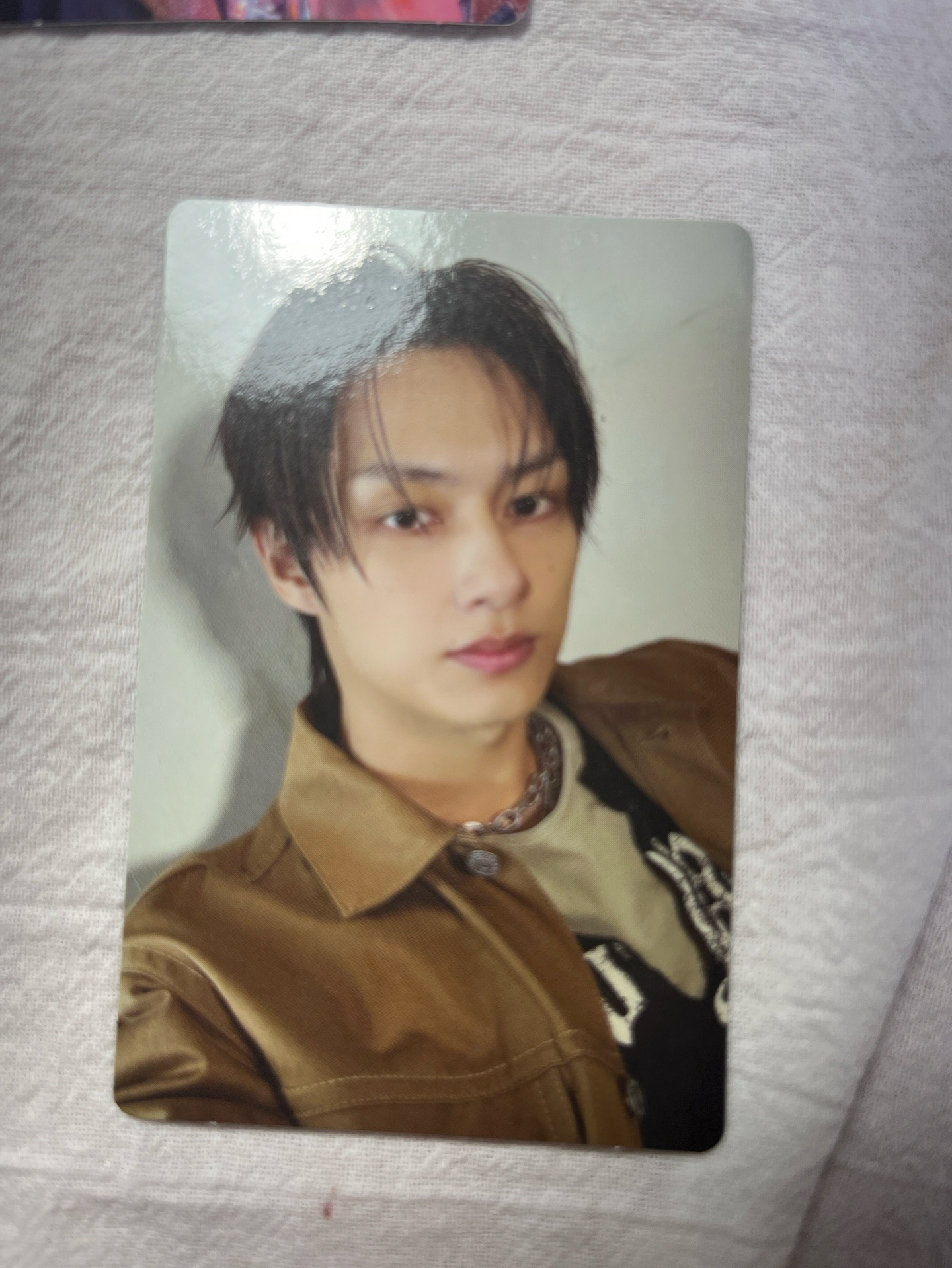 17-俊貓貓小卡區