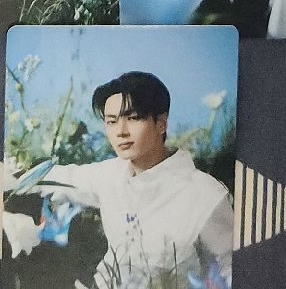 安可場周 隨機卡 朴綜星