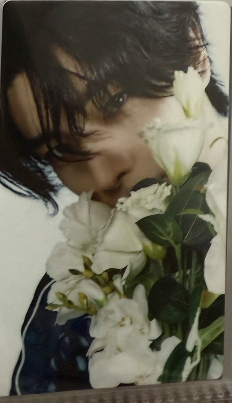 日專初回B官拍專卡倫（需多帶）