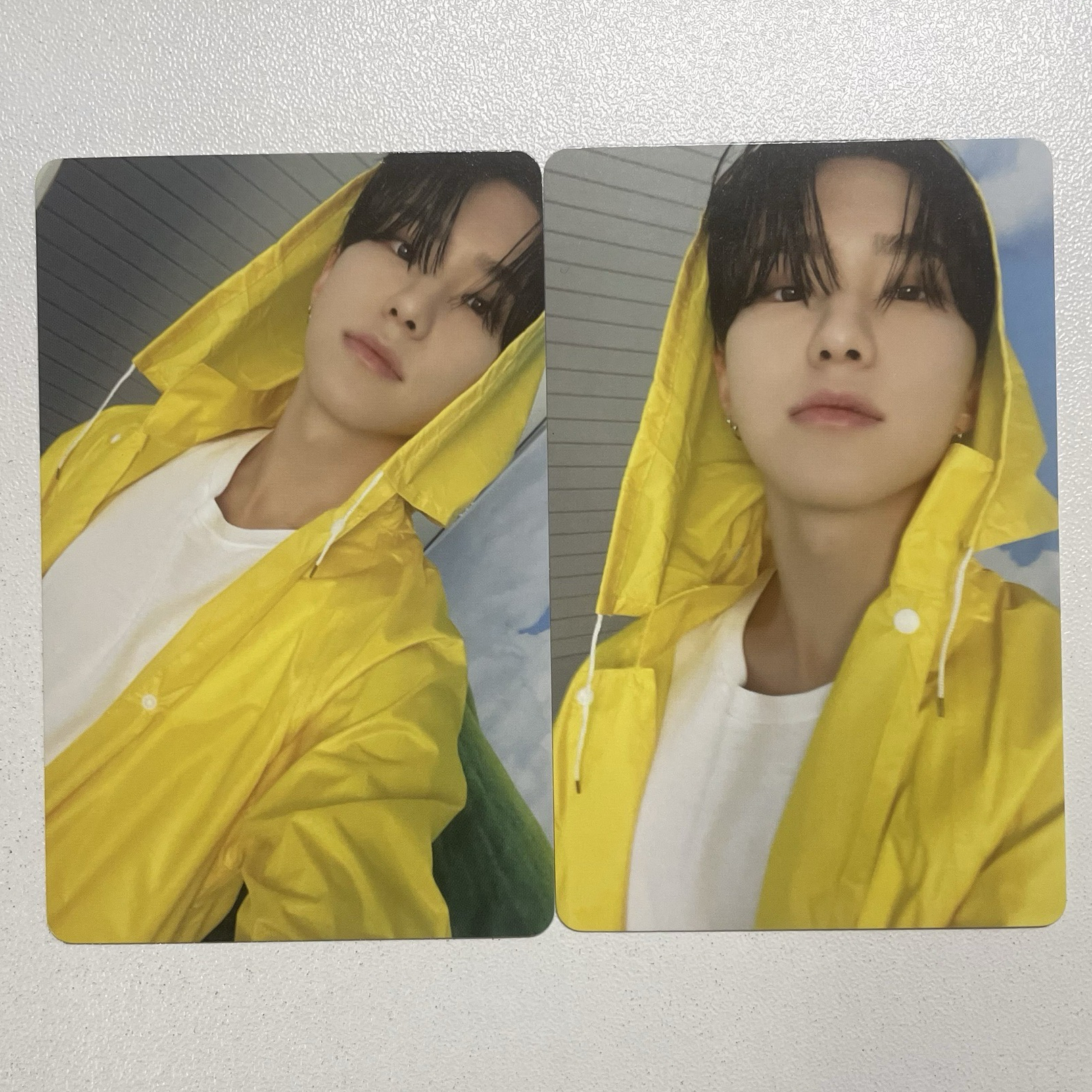 🐯-MINI 11｜CARAT ver.