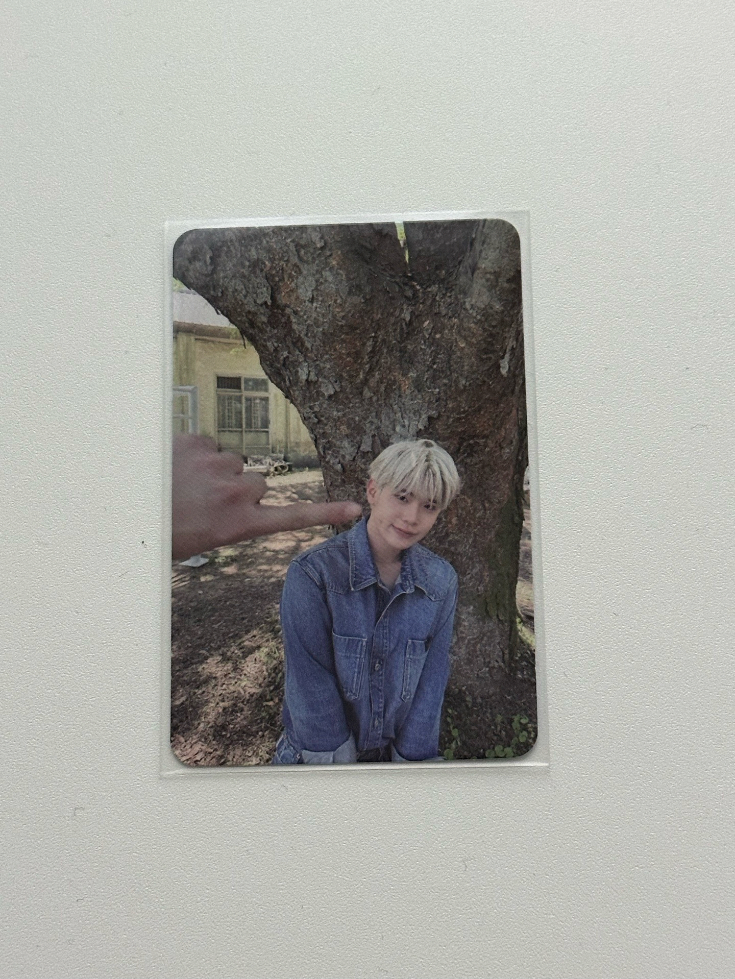 zb1 正規一 專卡 金泰來