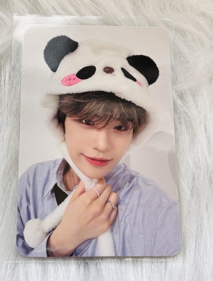 迷一 貓熊🐼MS特典 來